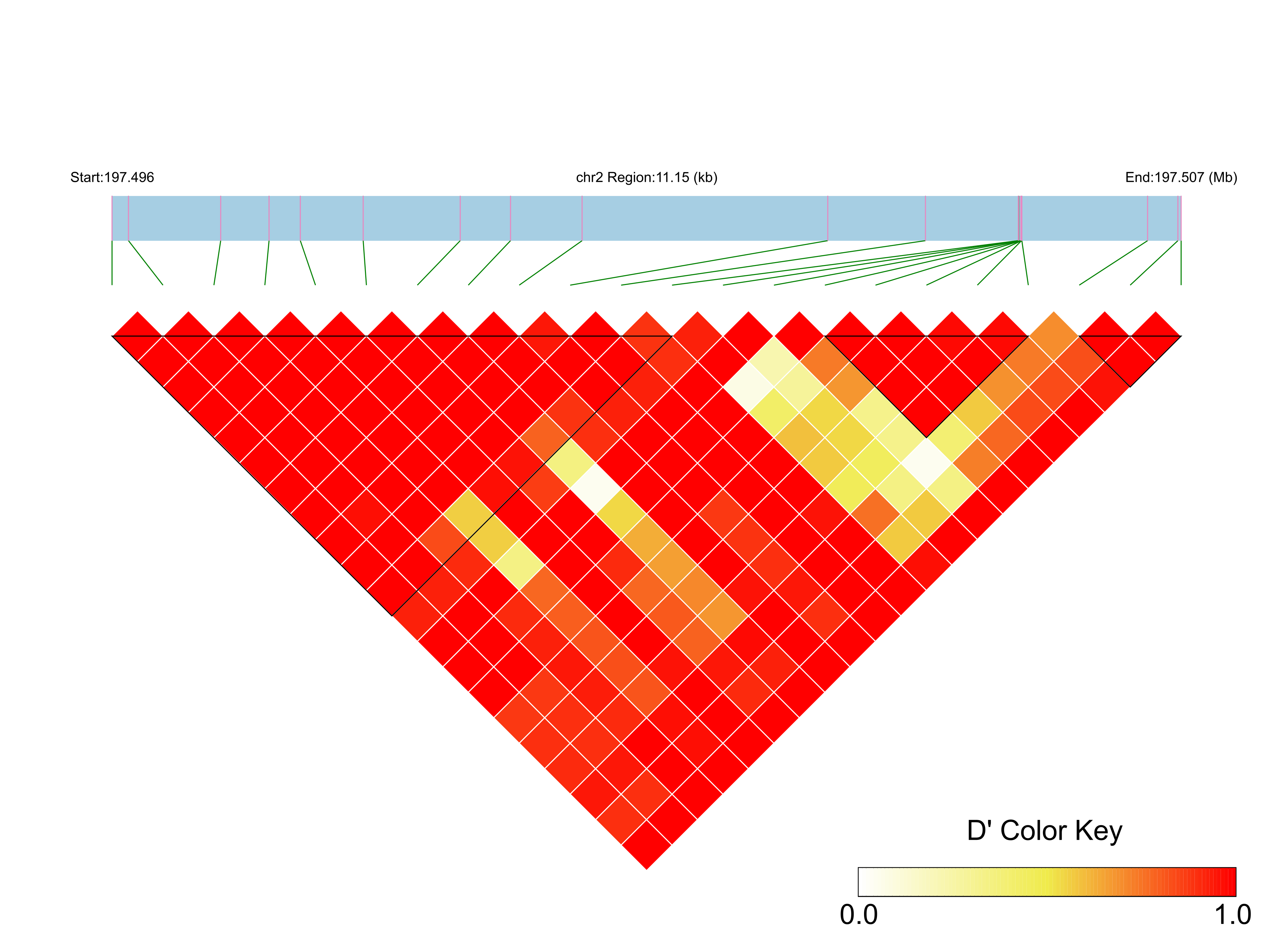 LD