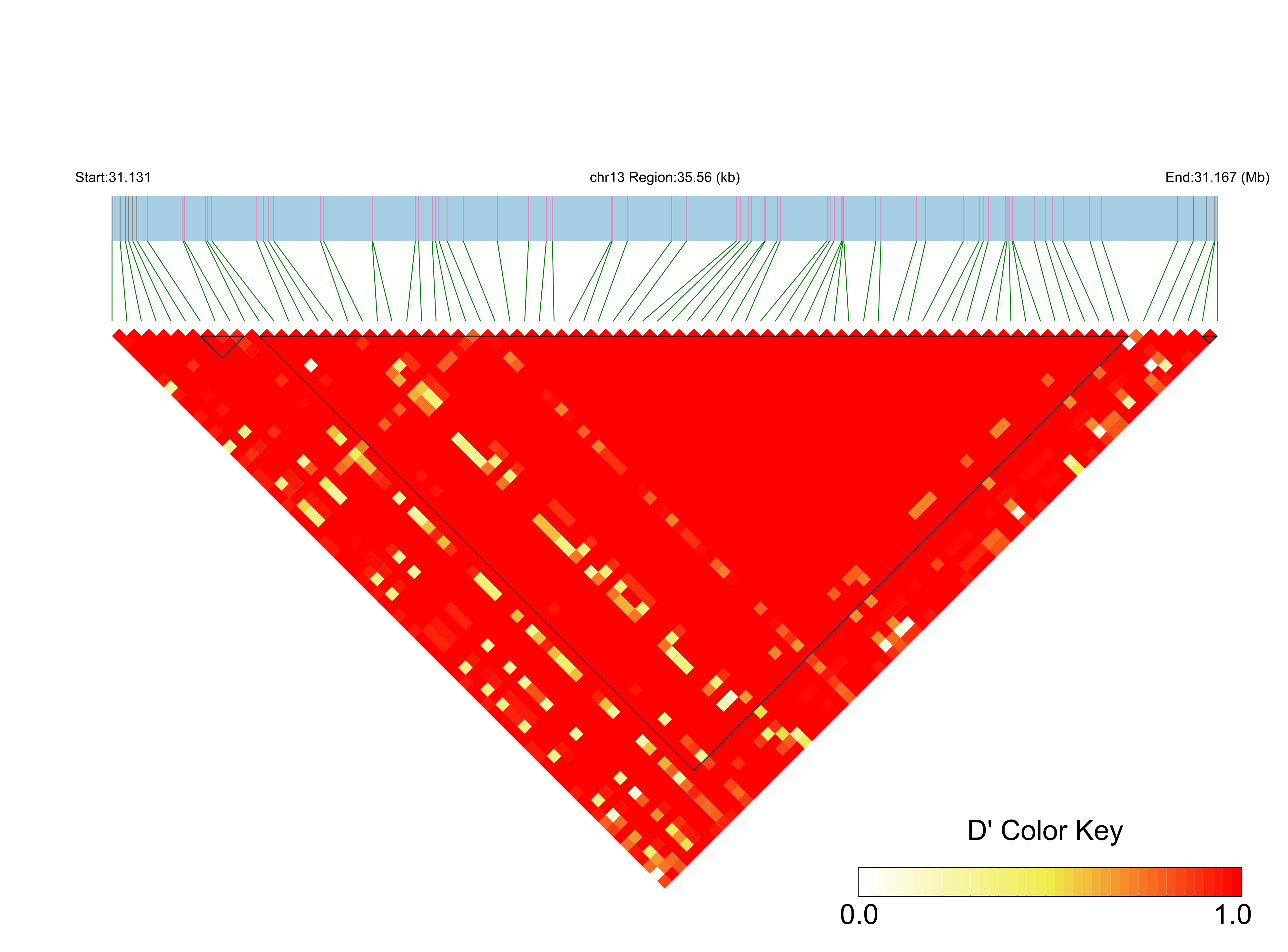 LD
