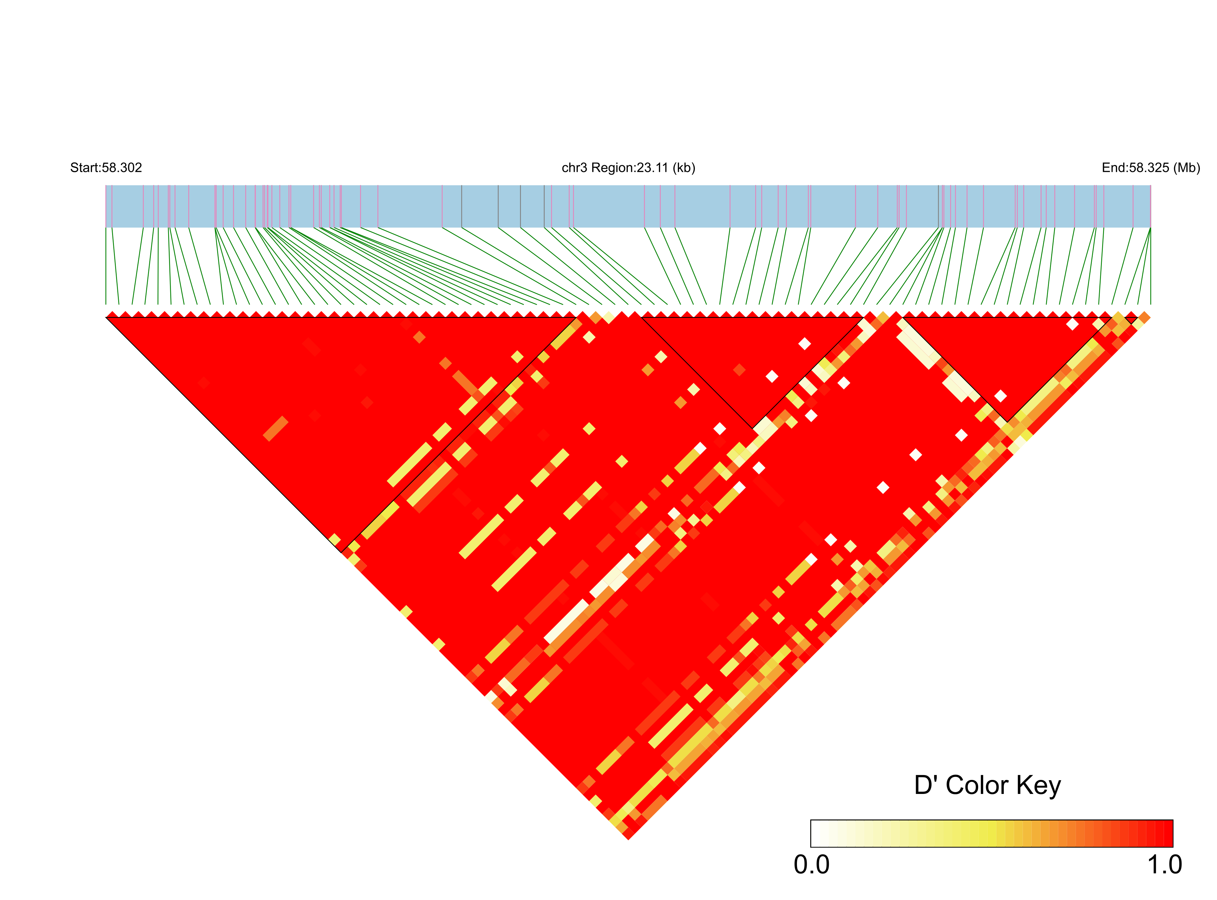 LD