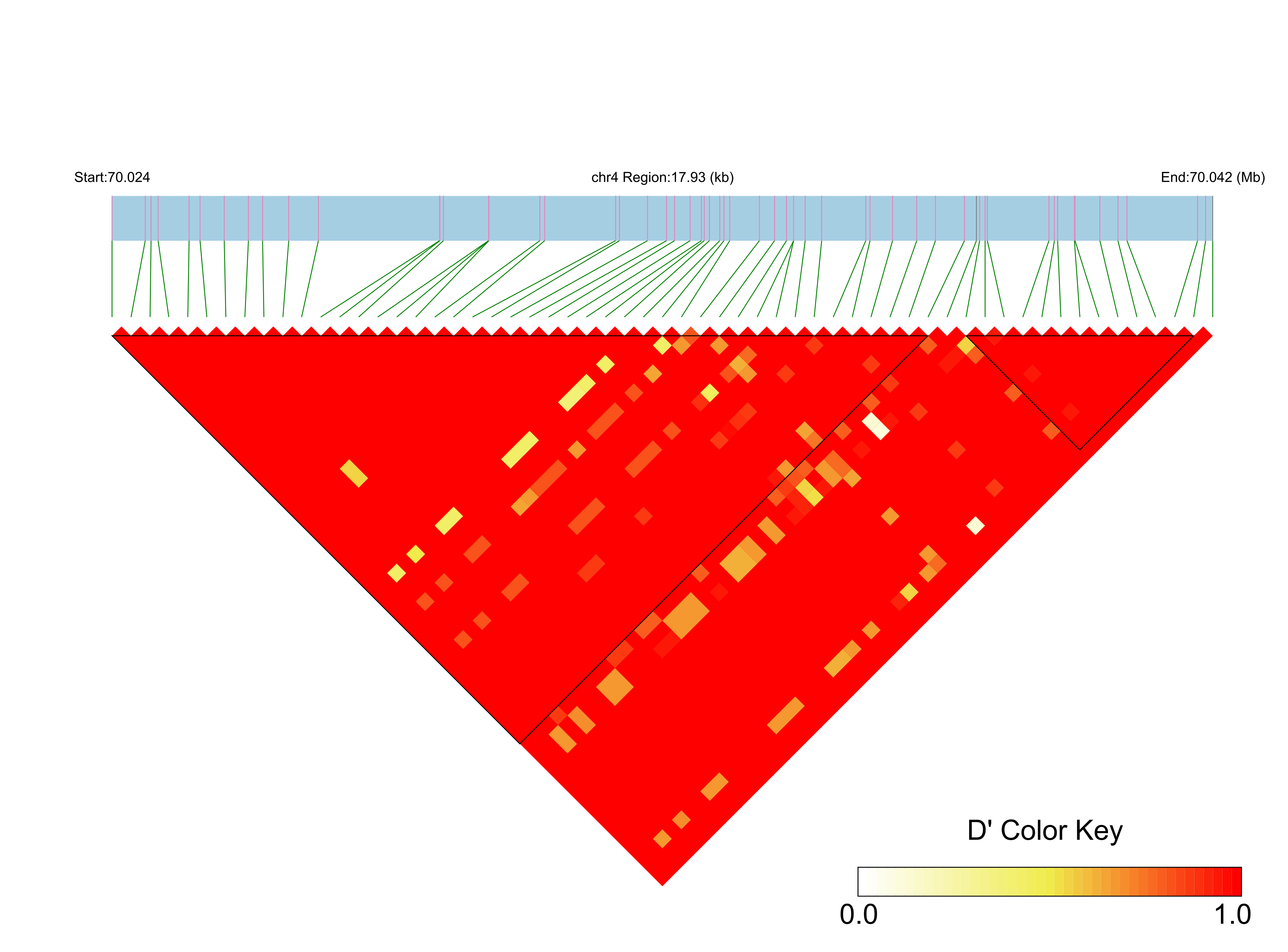LD