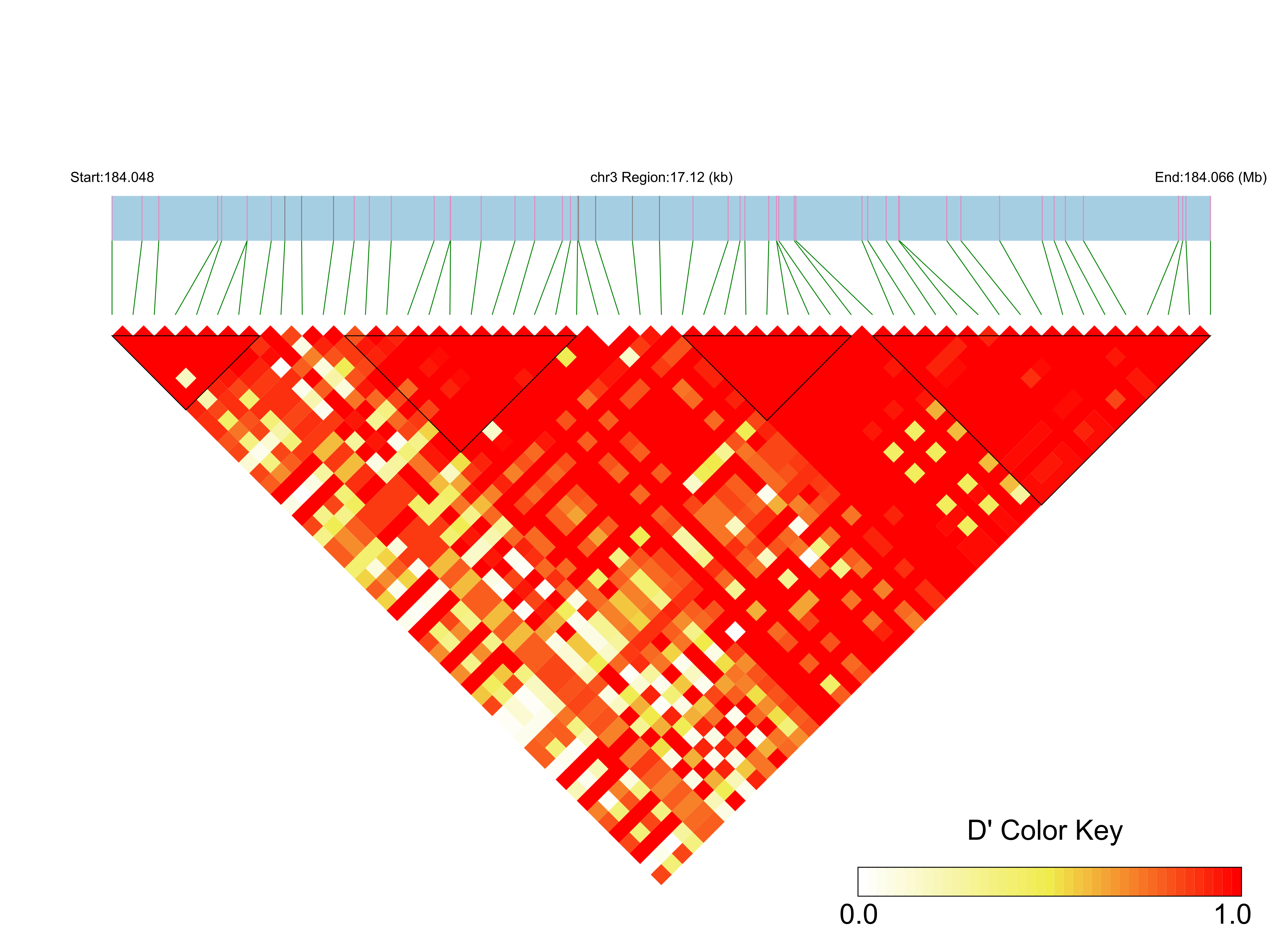 LD