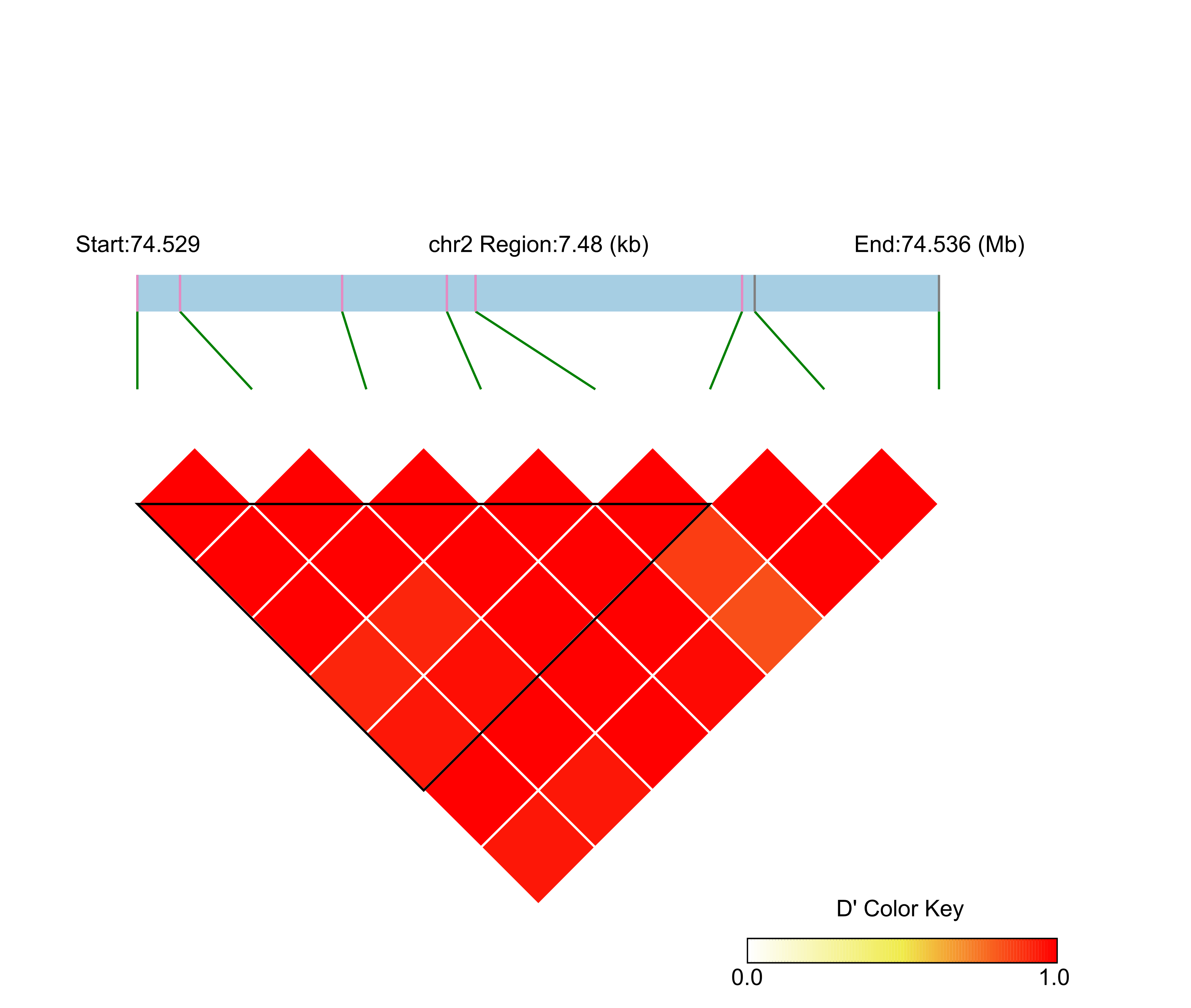 LD
