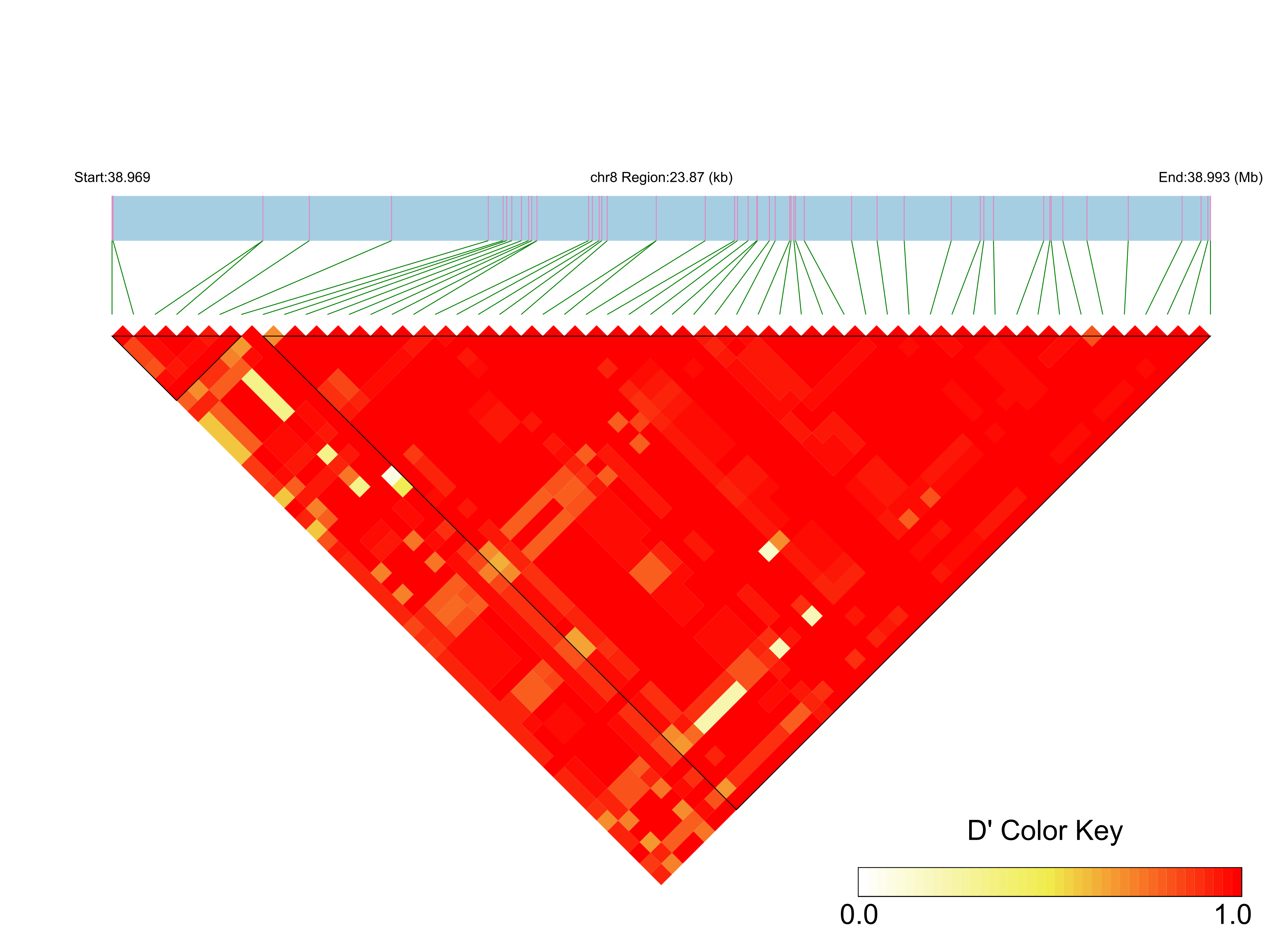 LD