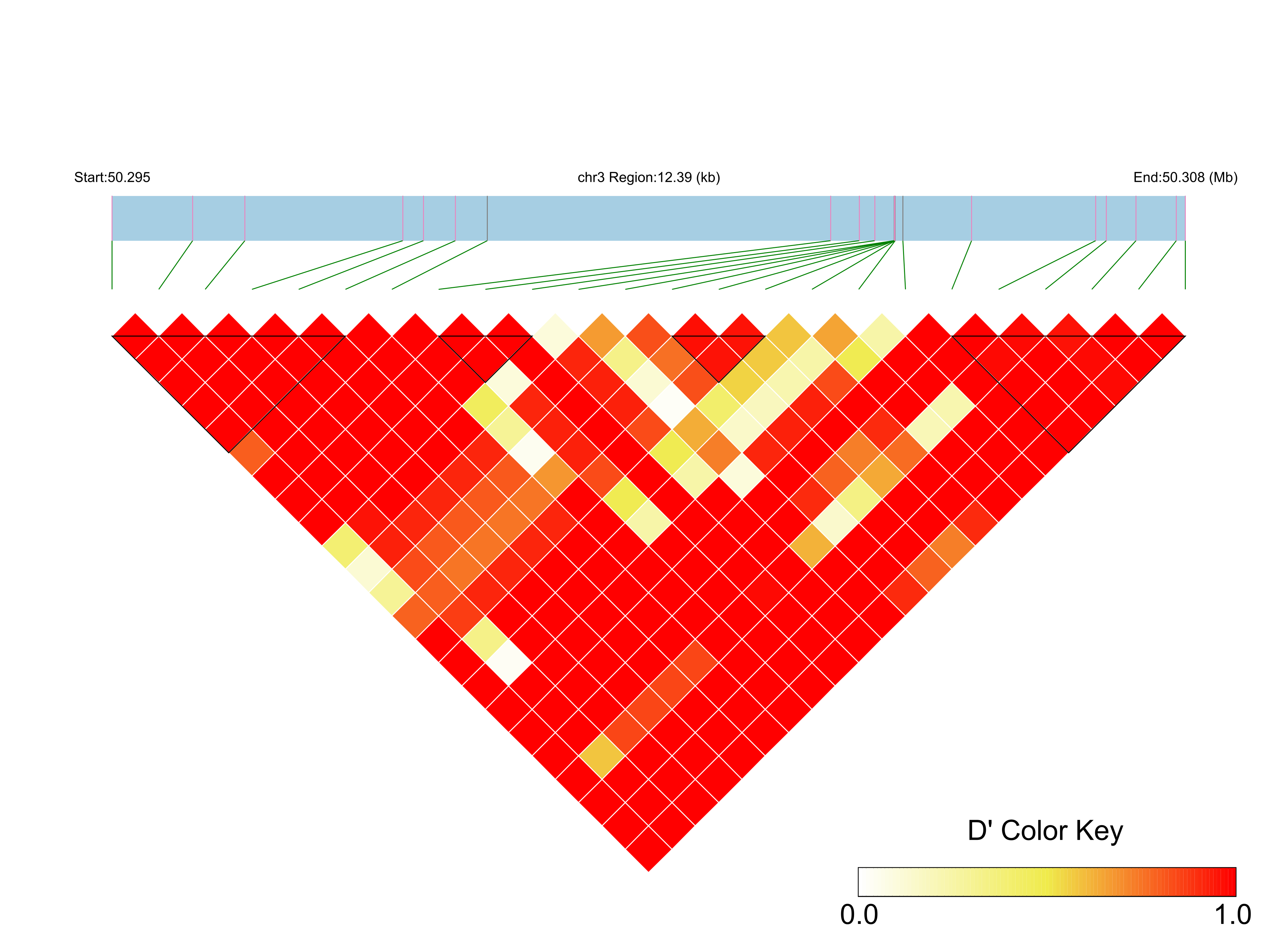 LD