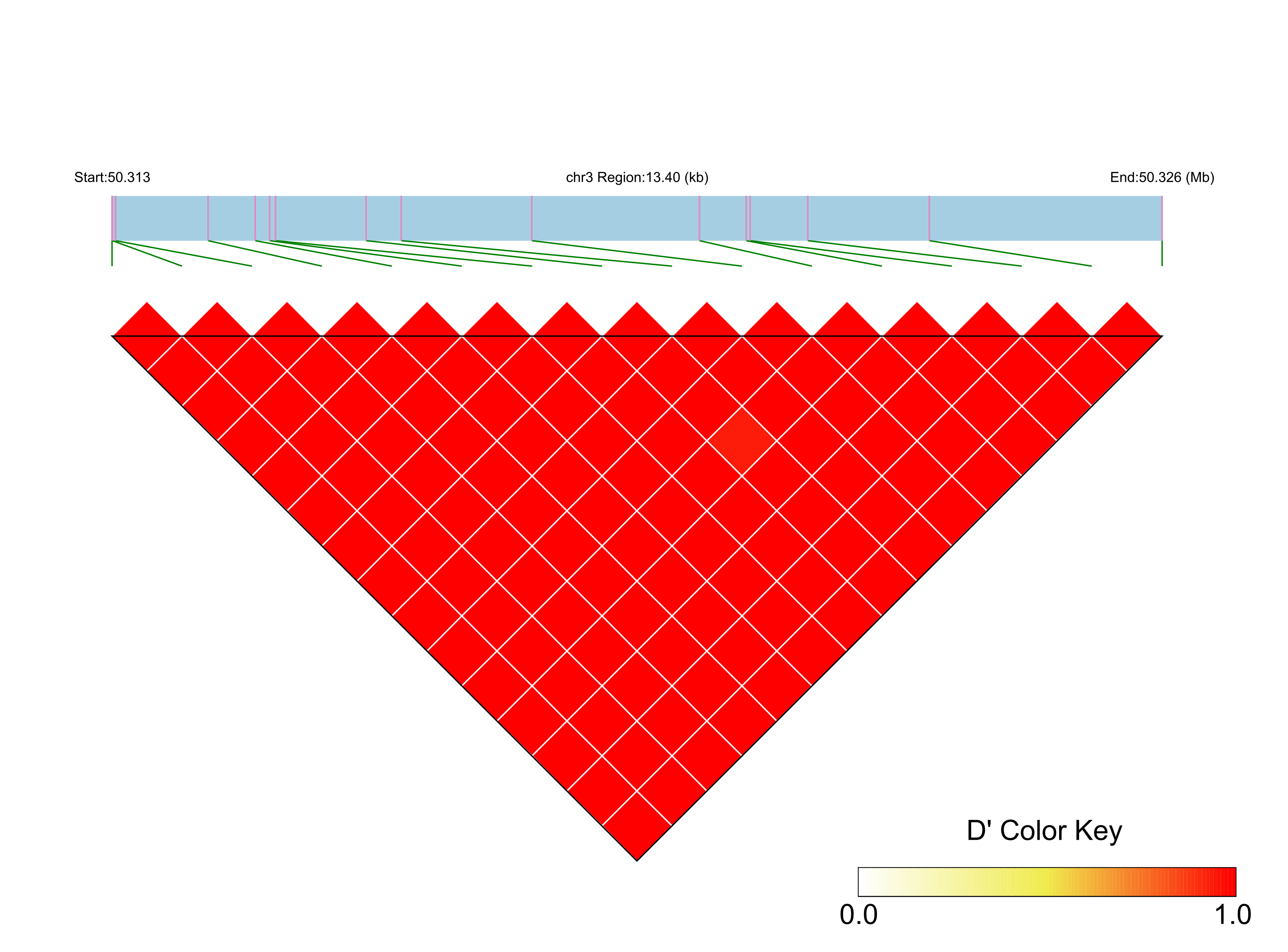 LD