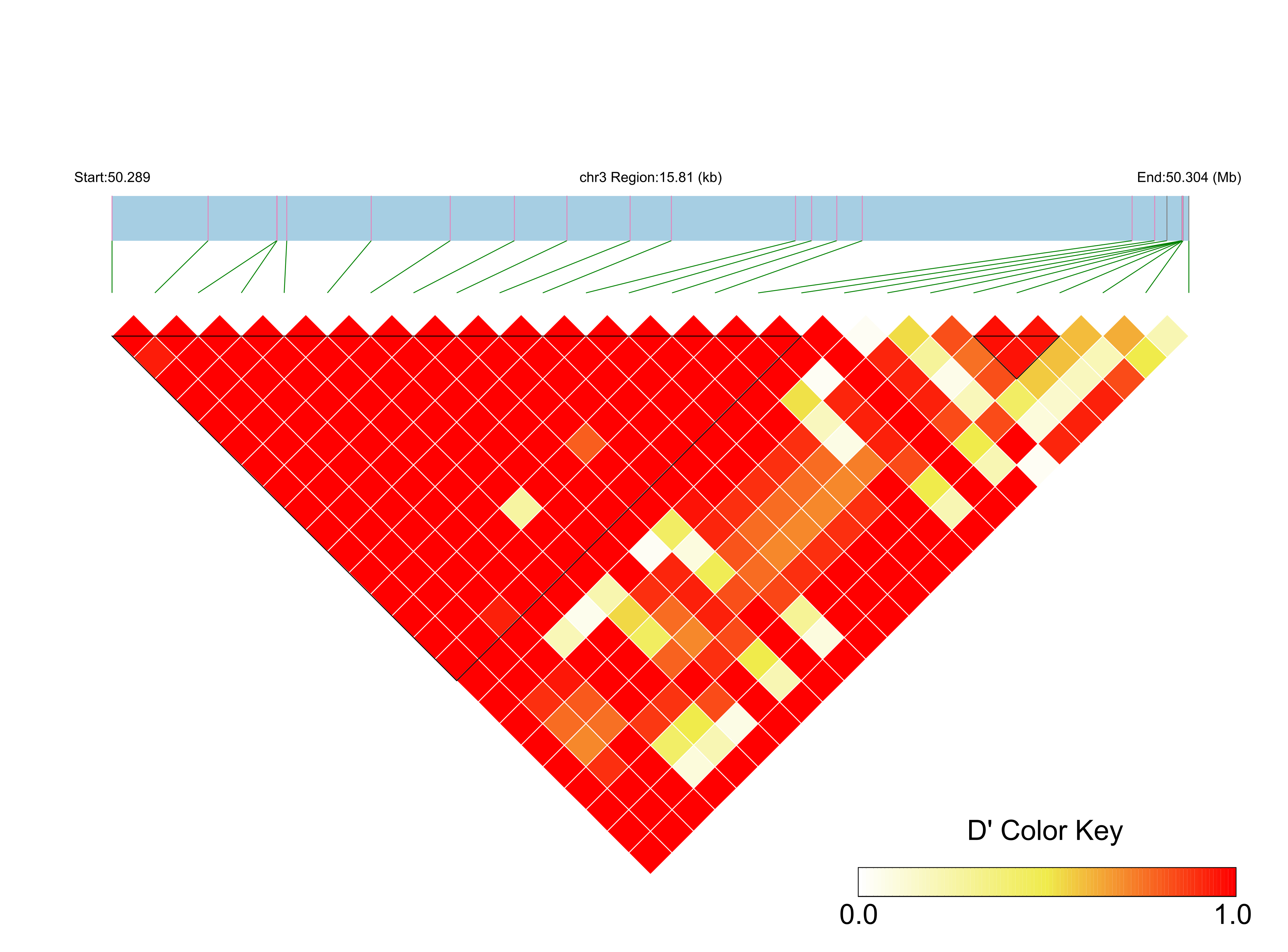 LD