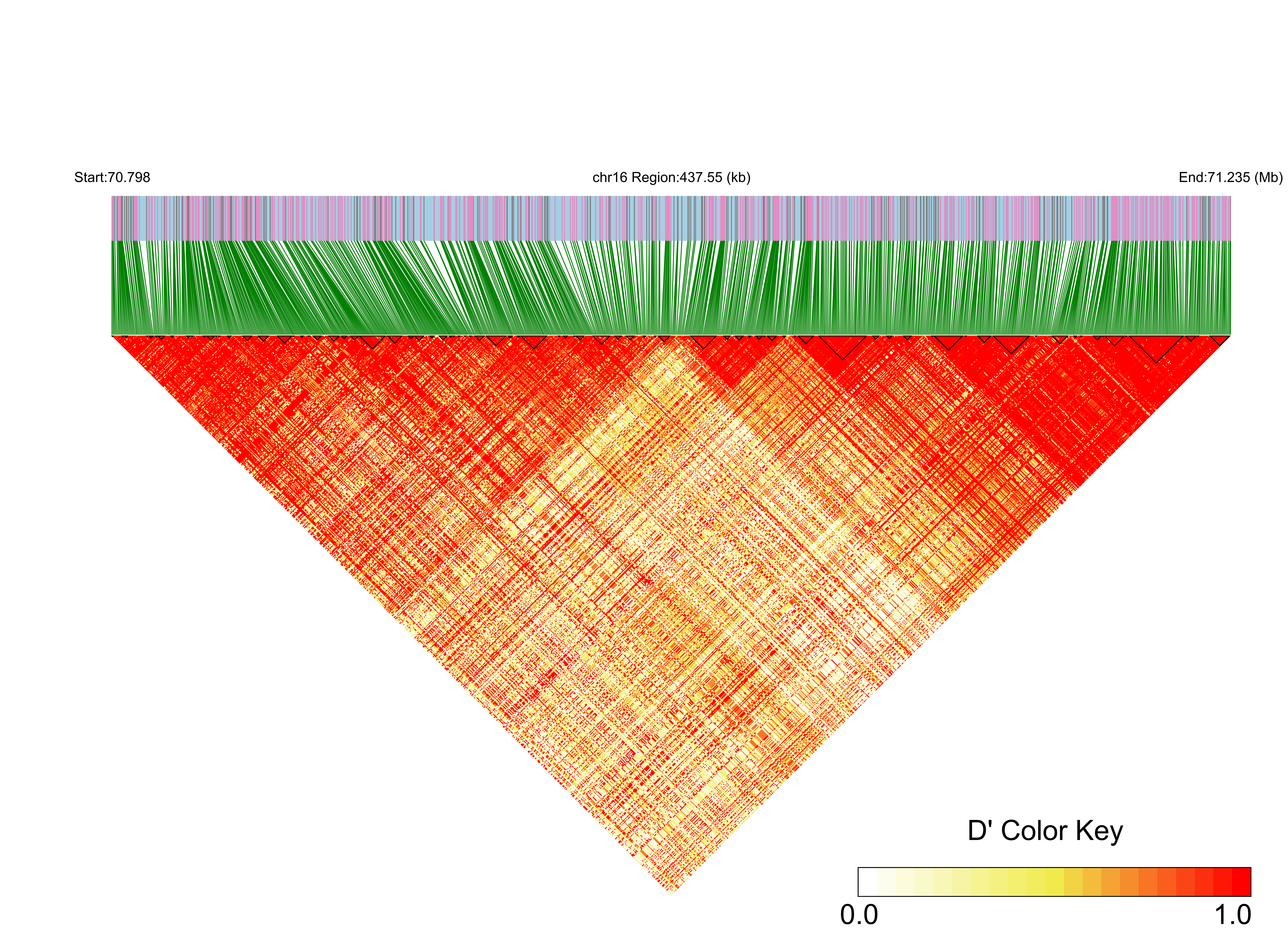 LD