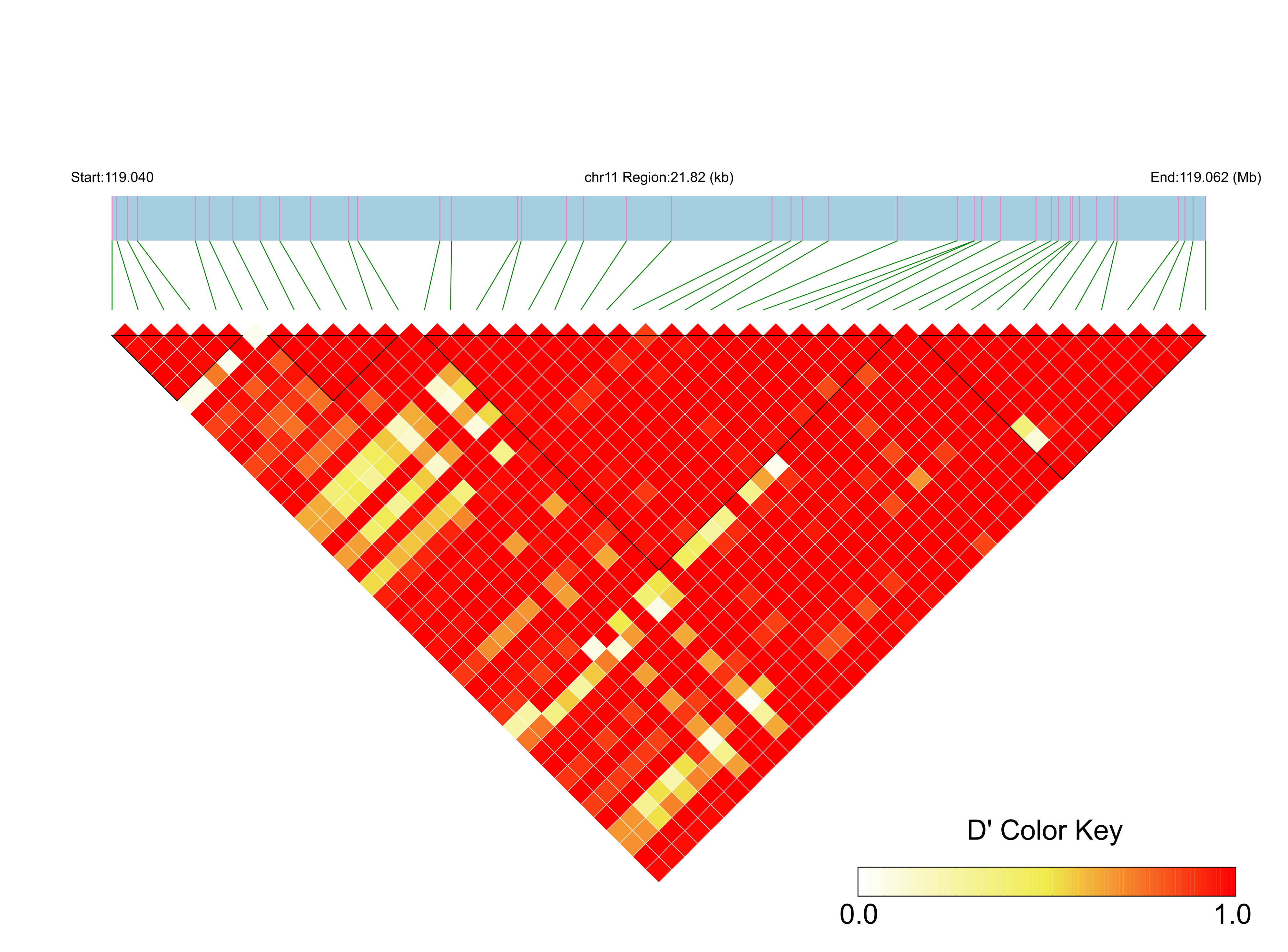 LD