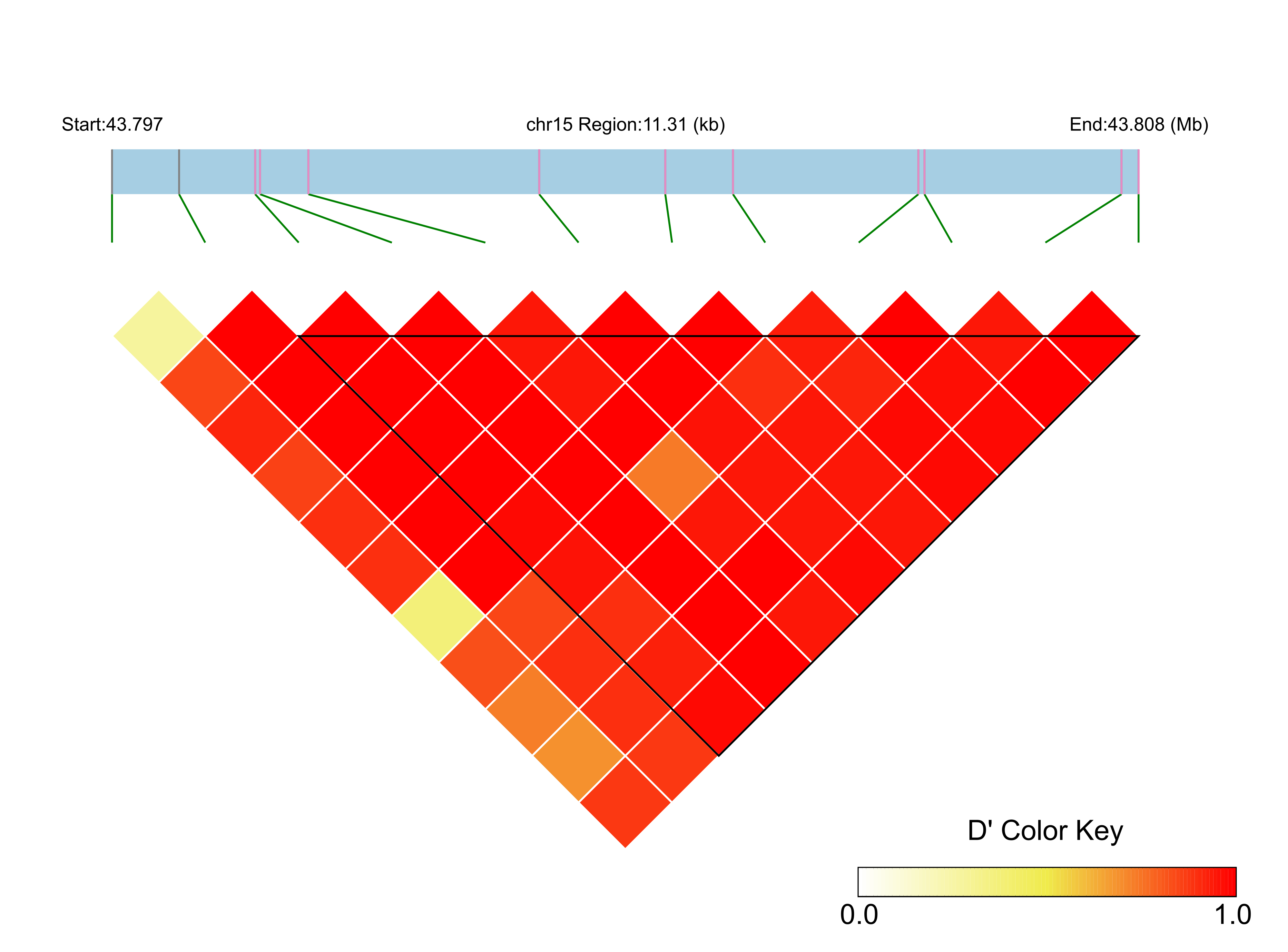 LD