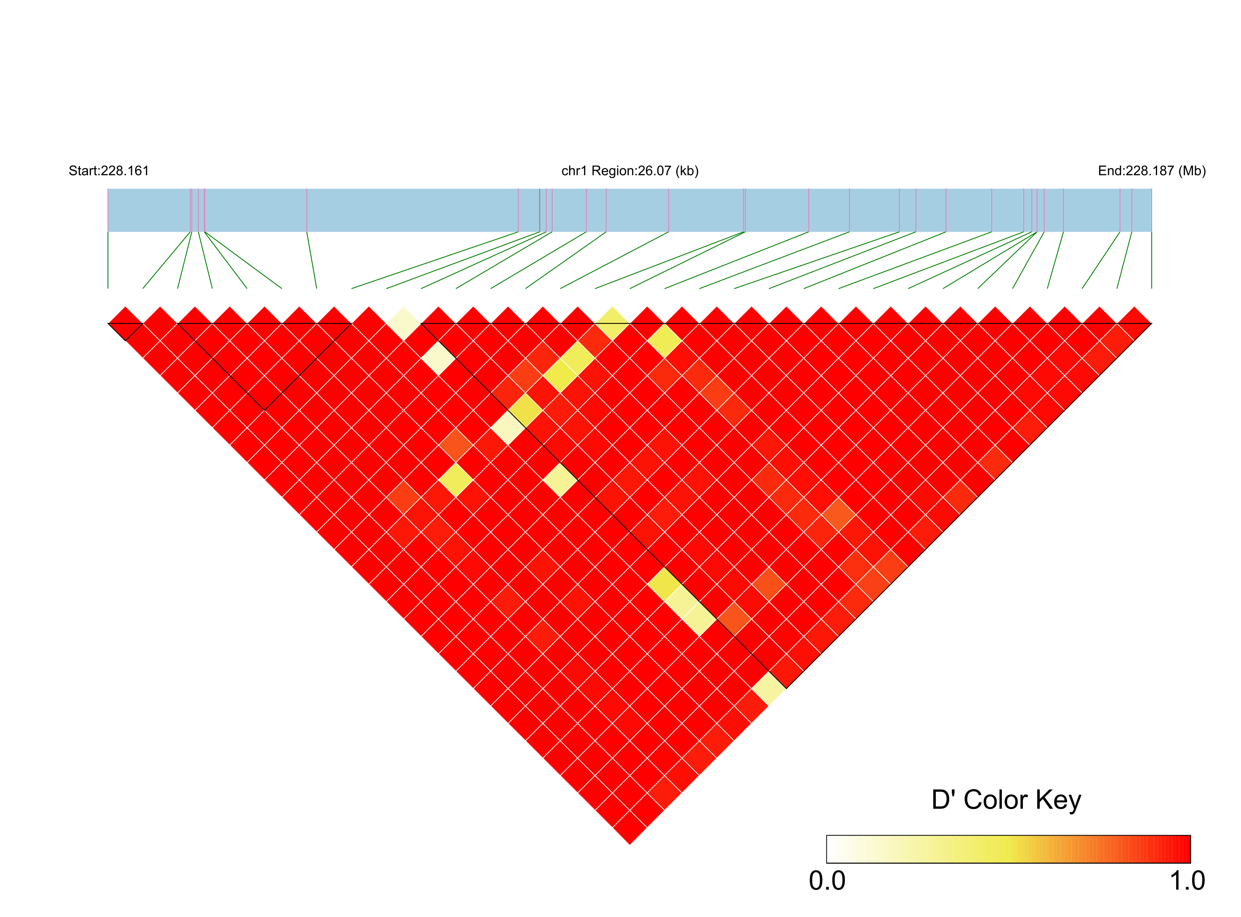 LD
