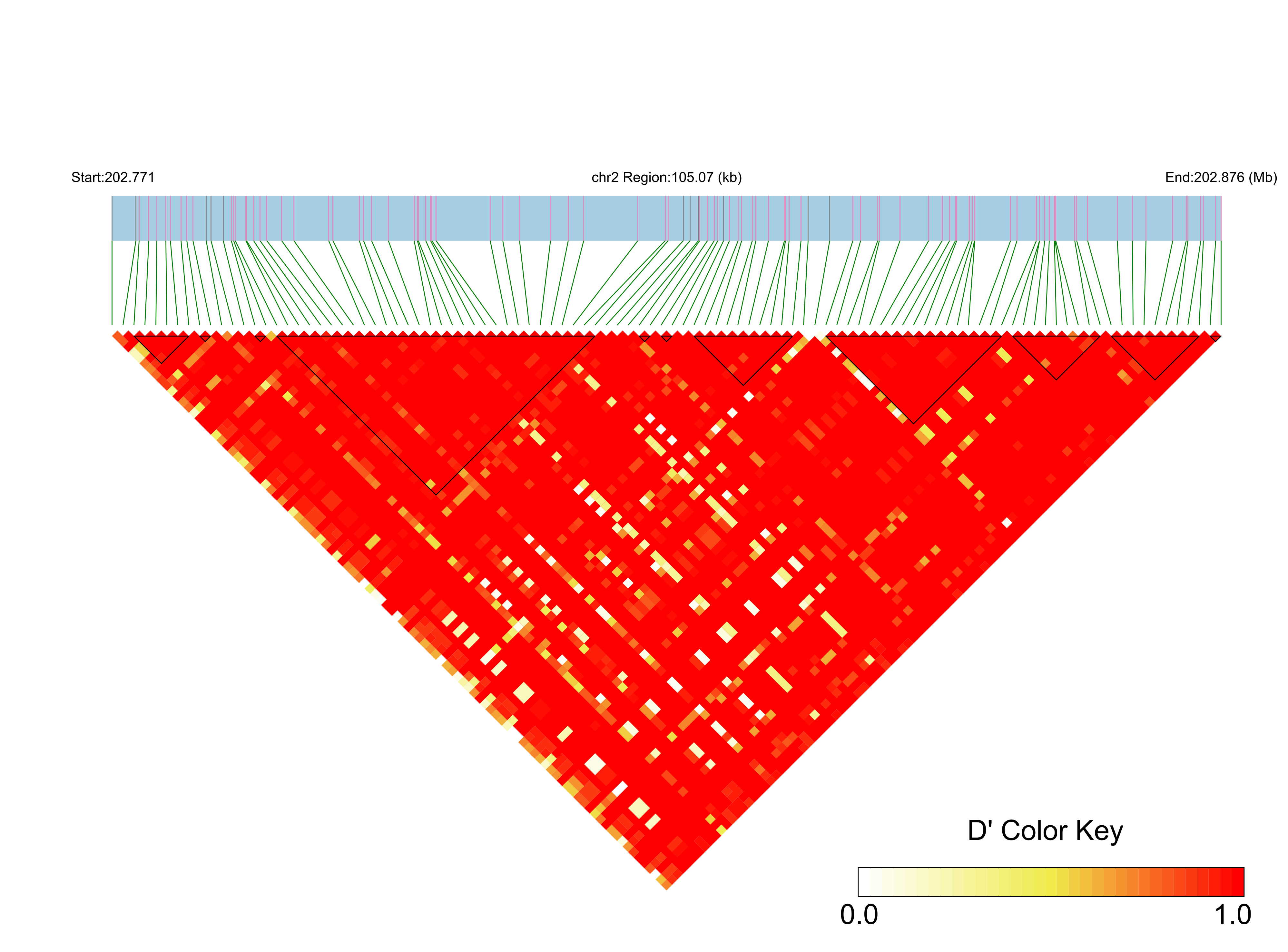 LD