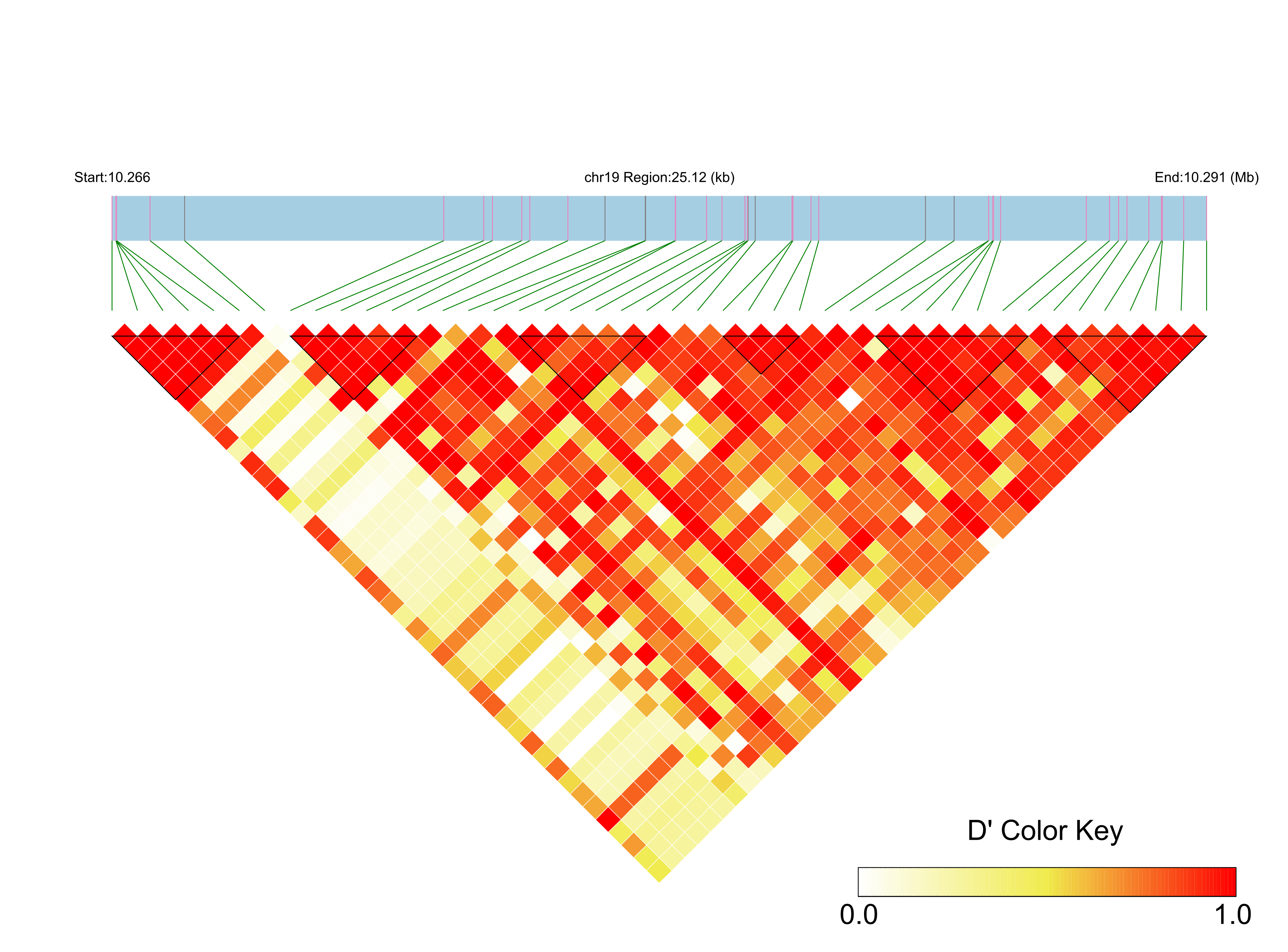 LD