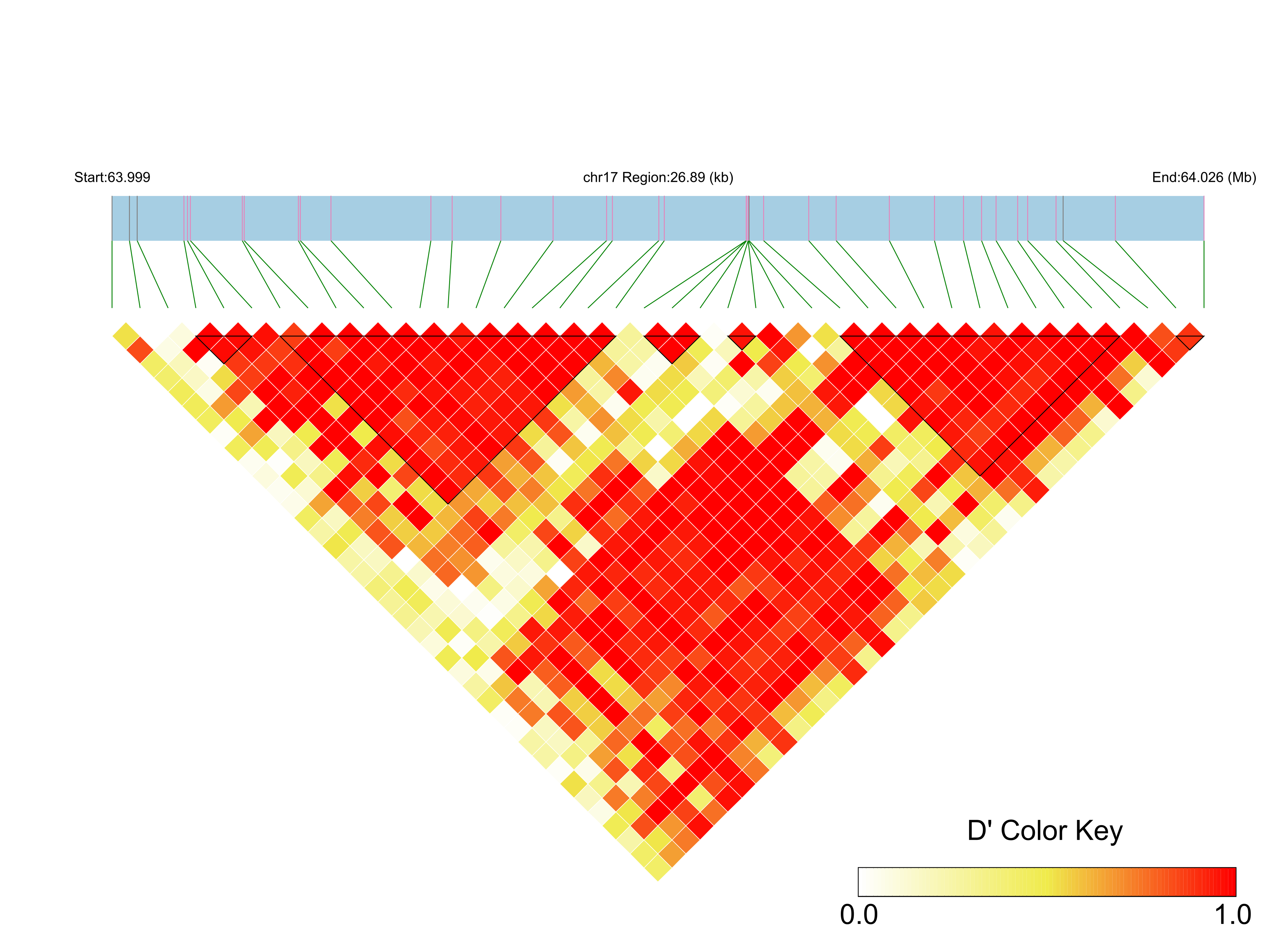 LD