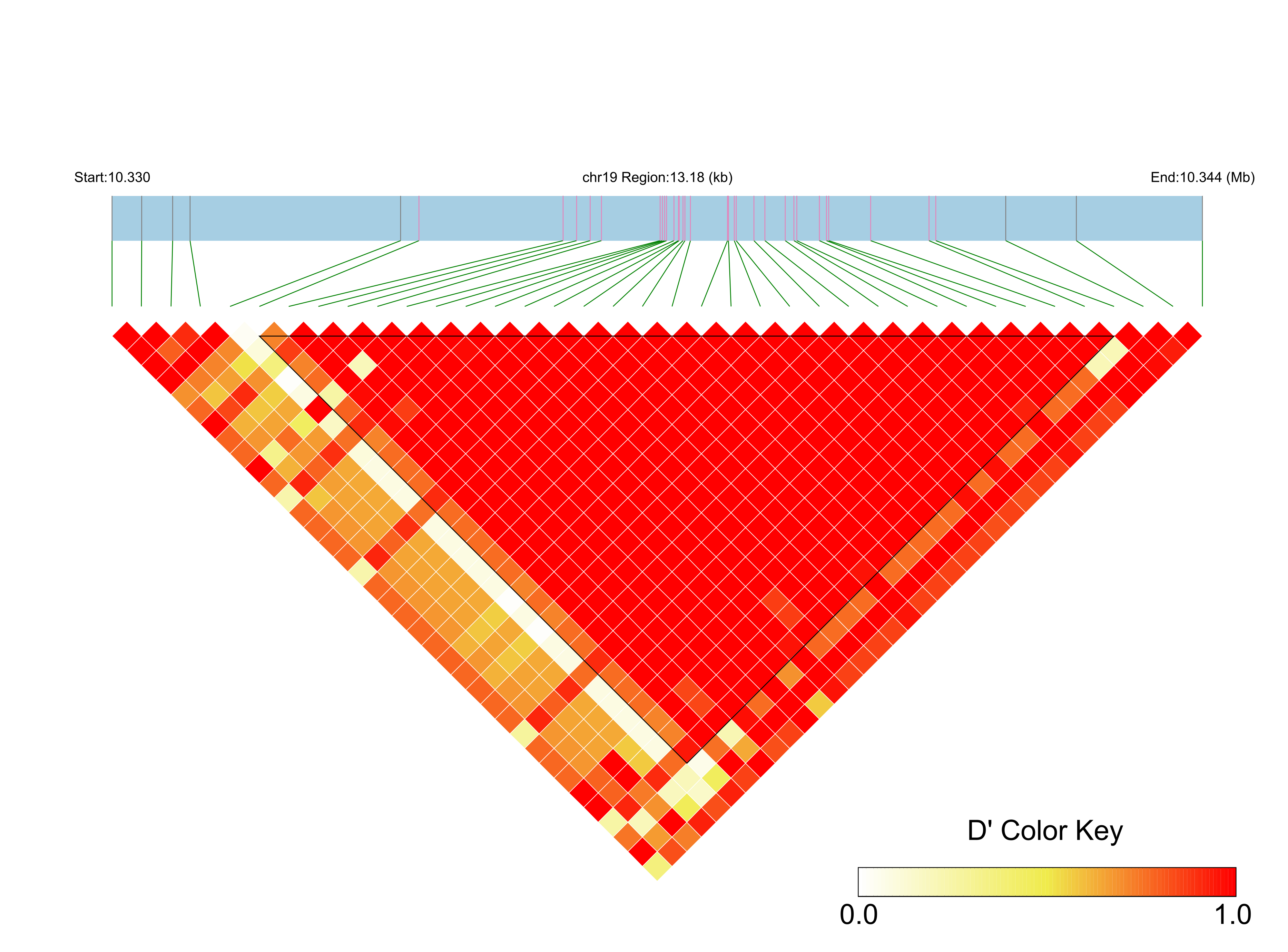 LD