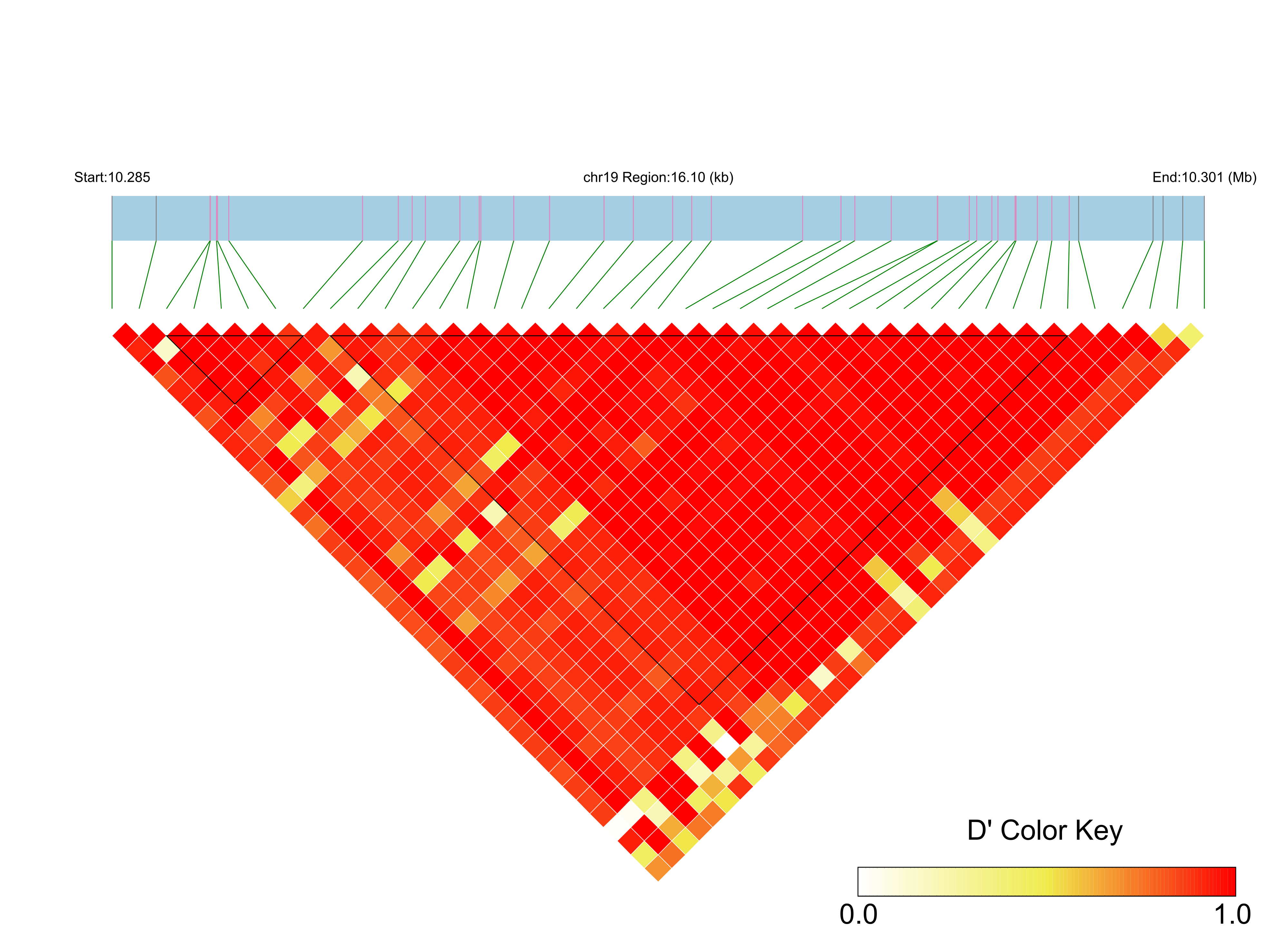 LD
