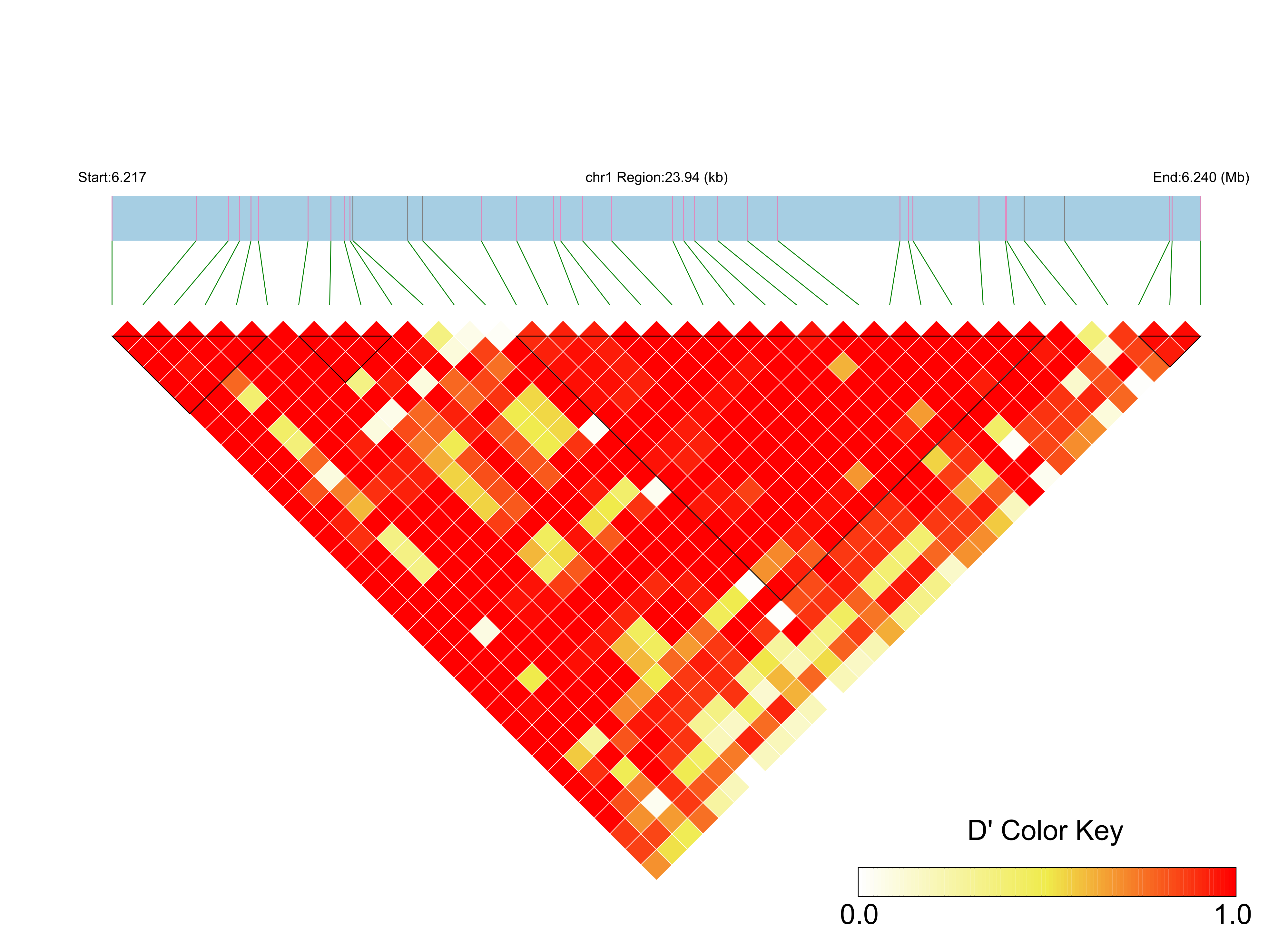 LD