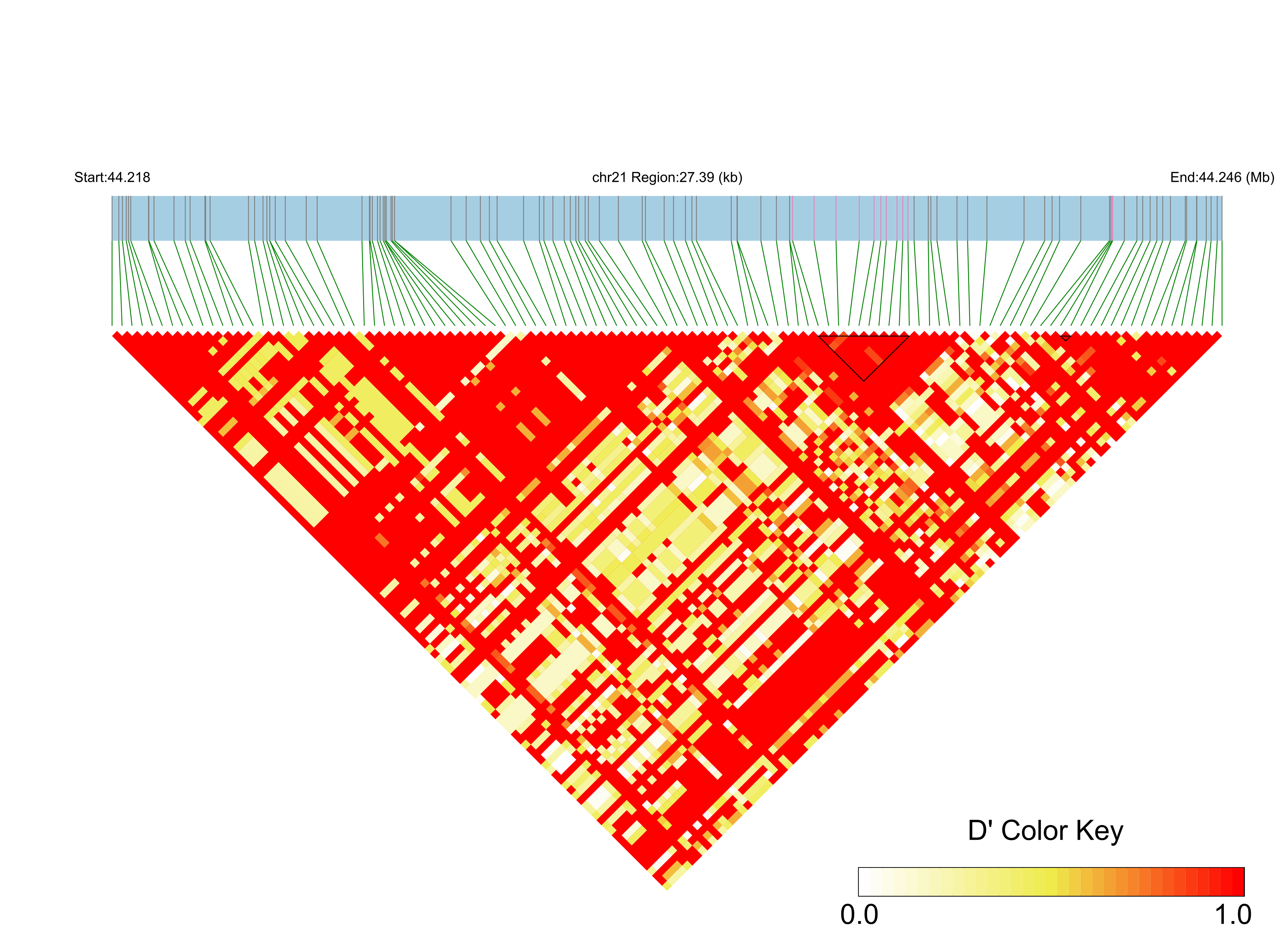 LD