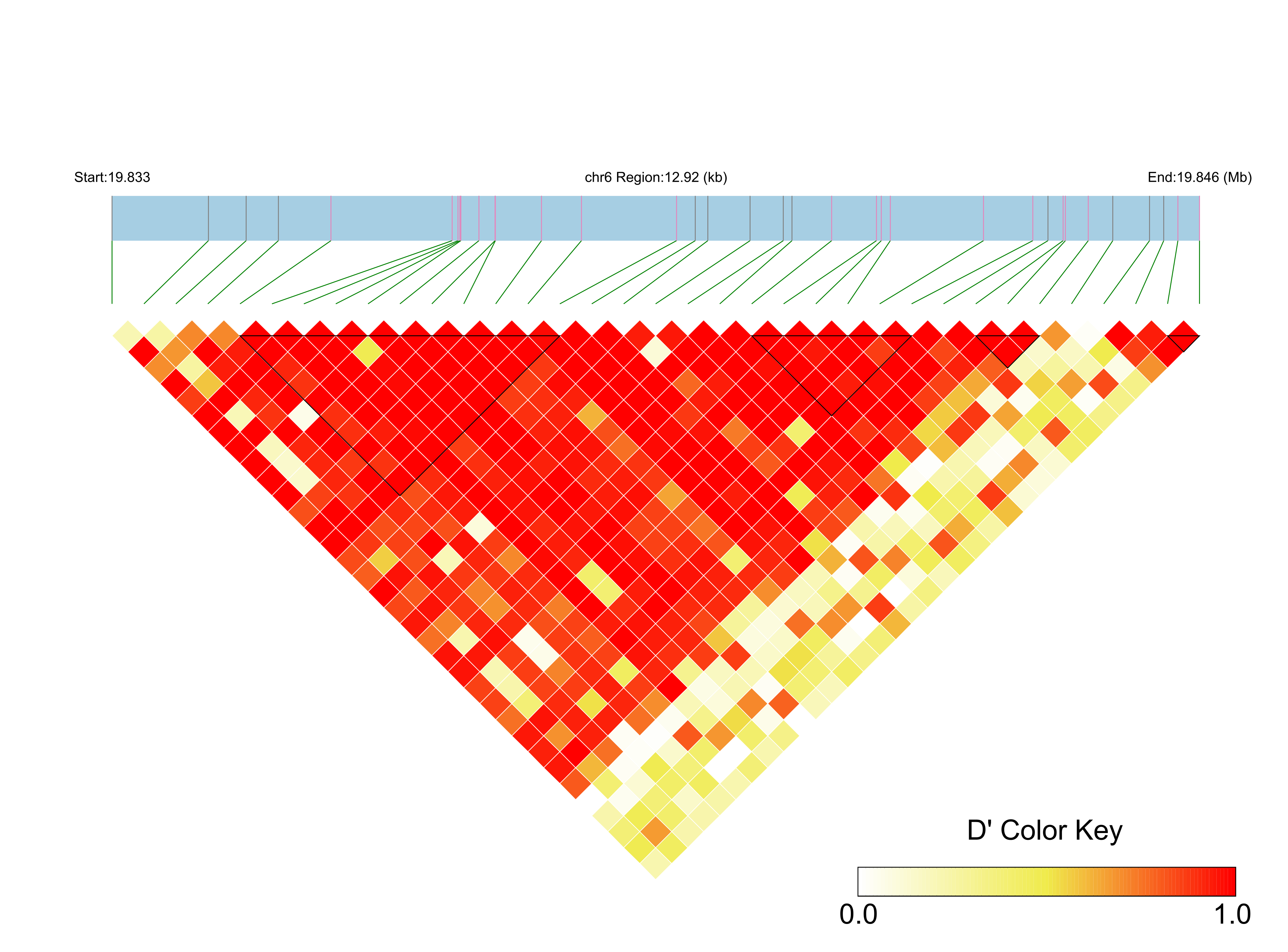 LD
