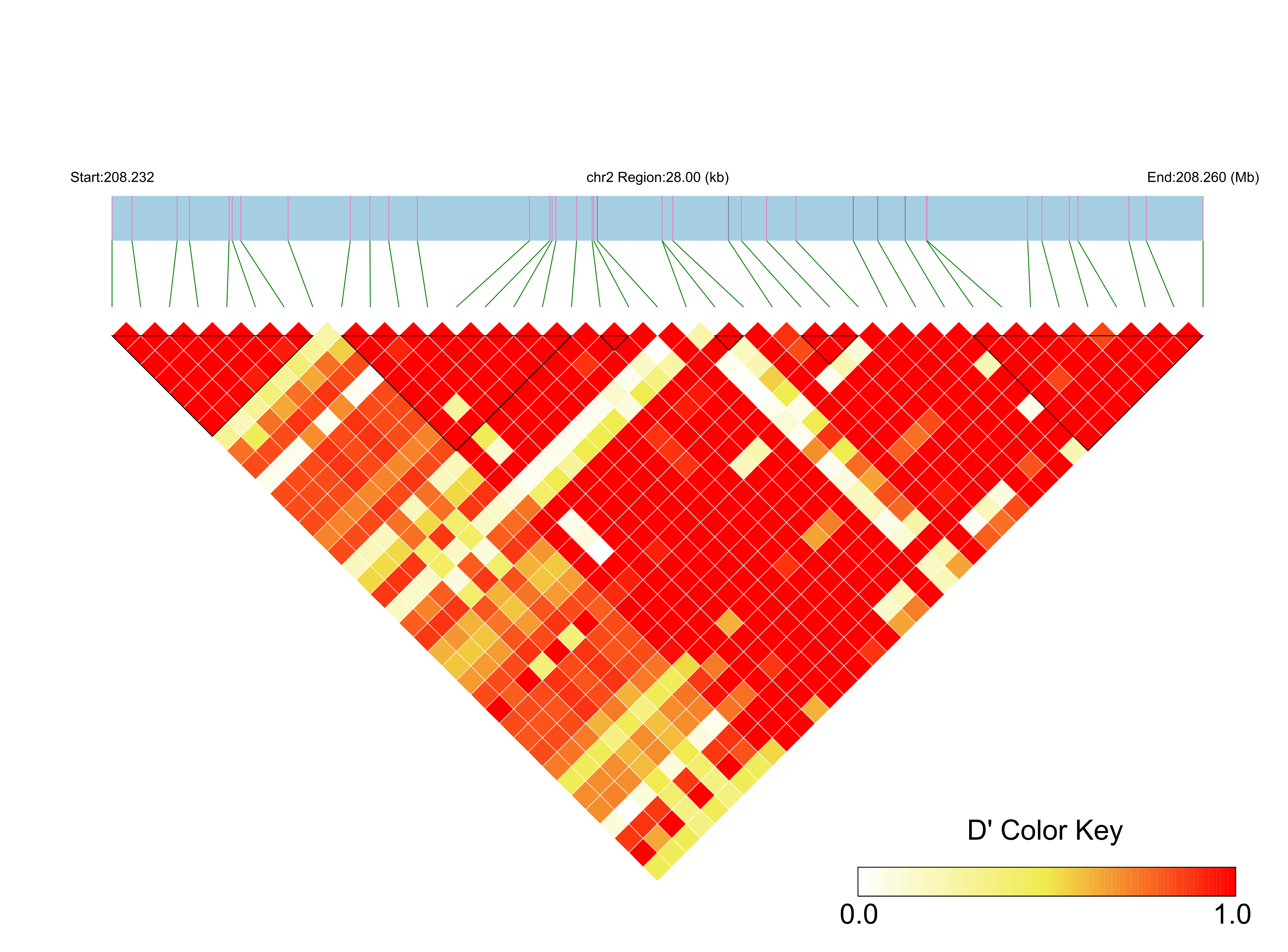 LD