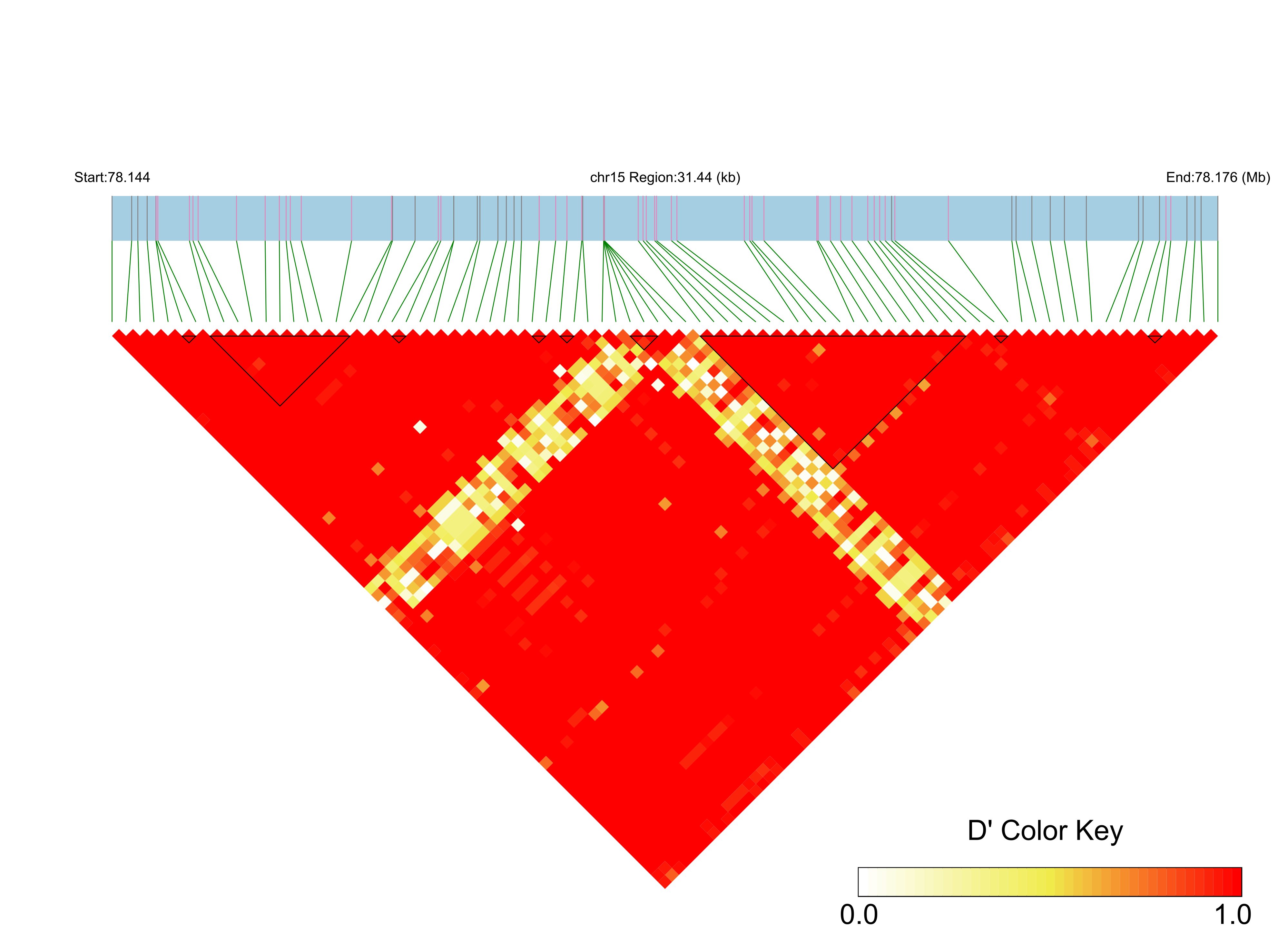 LD