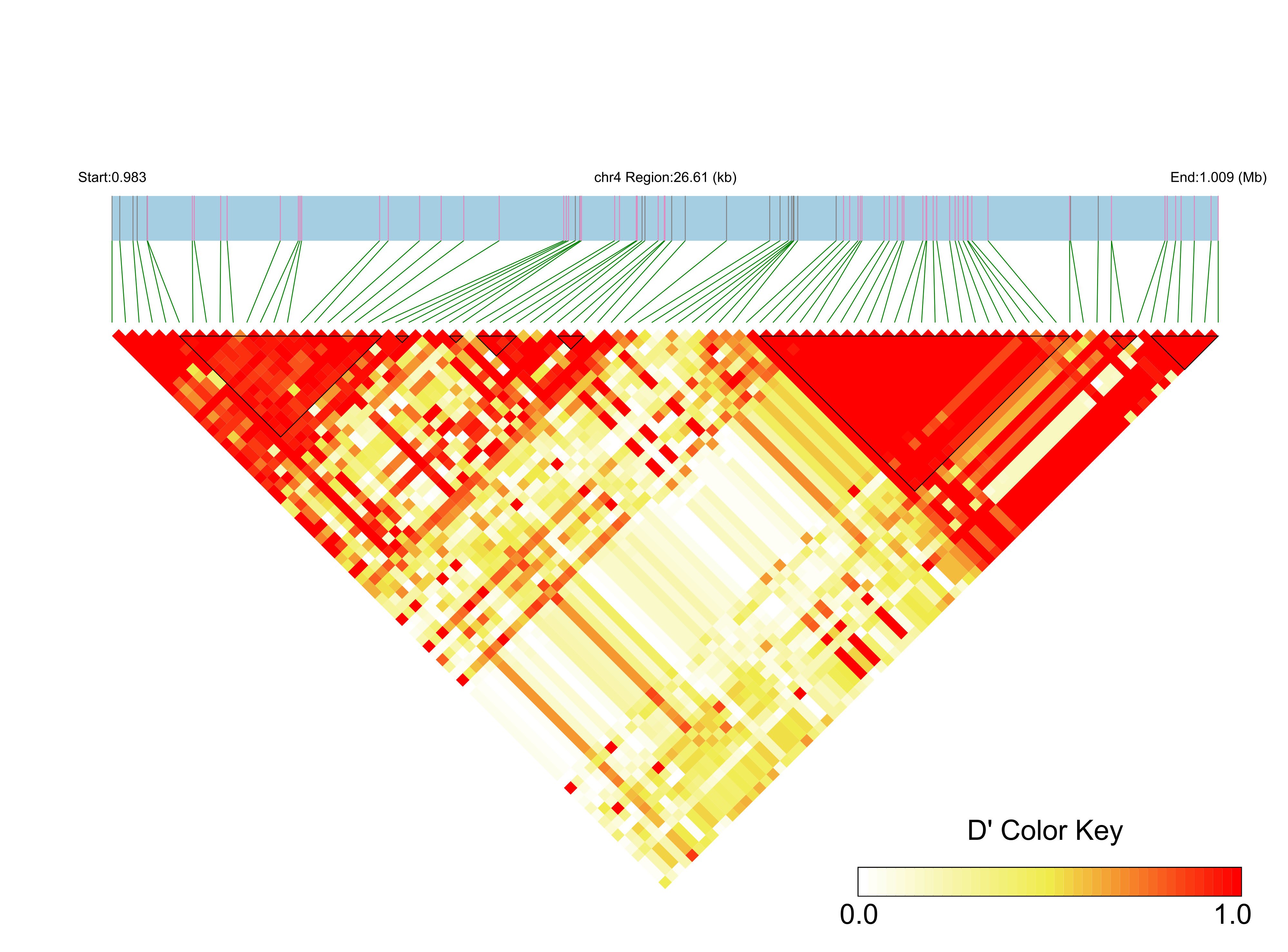 LD