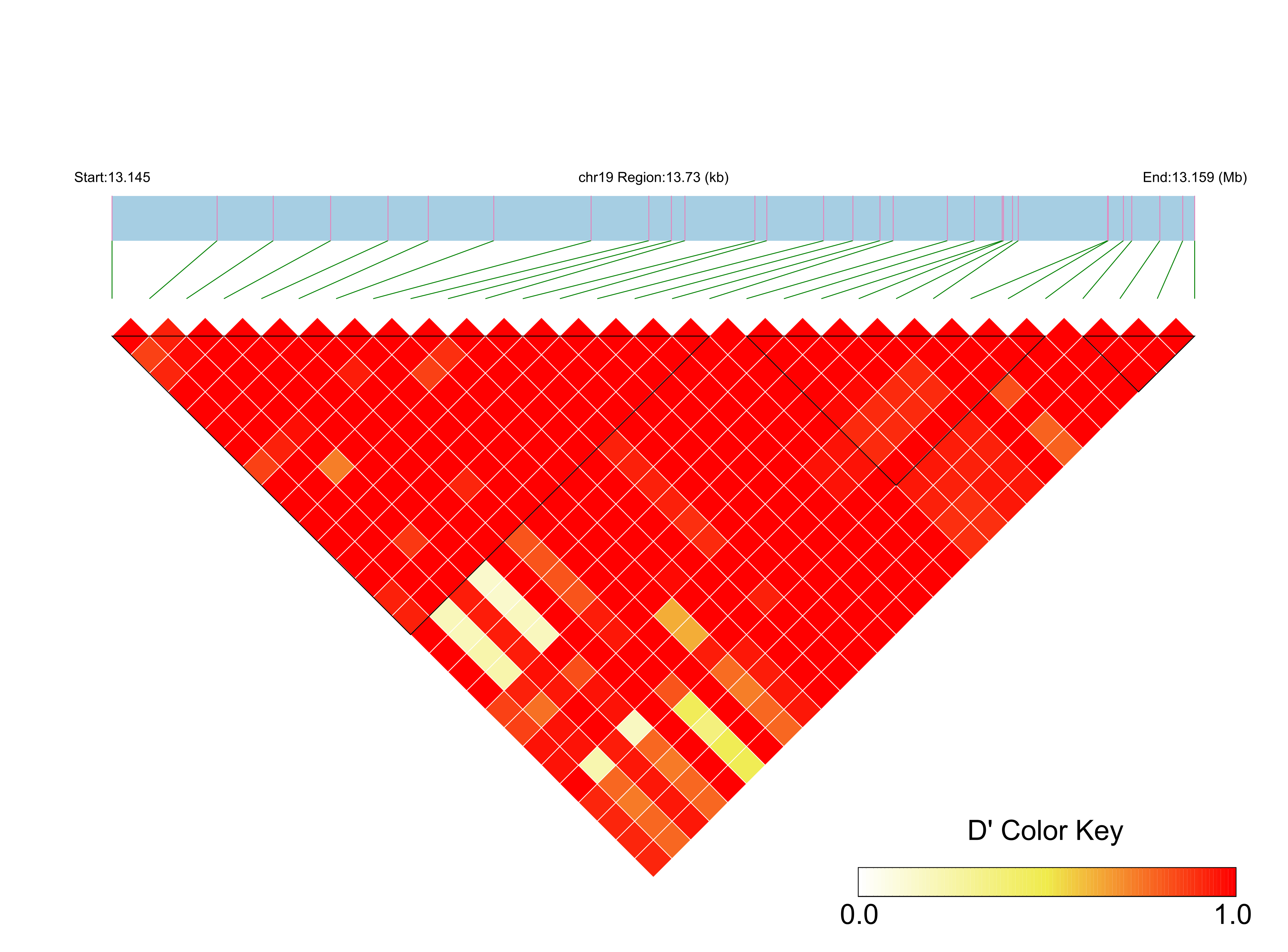 LD