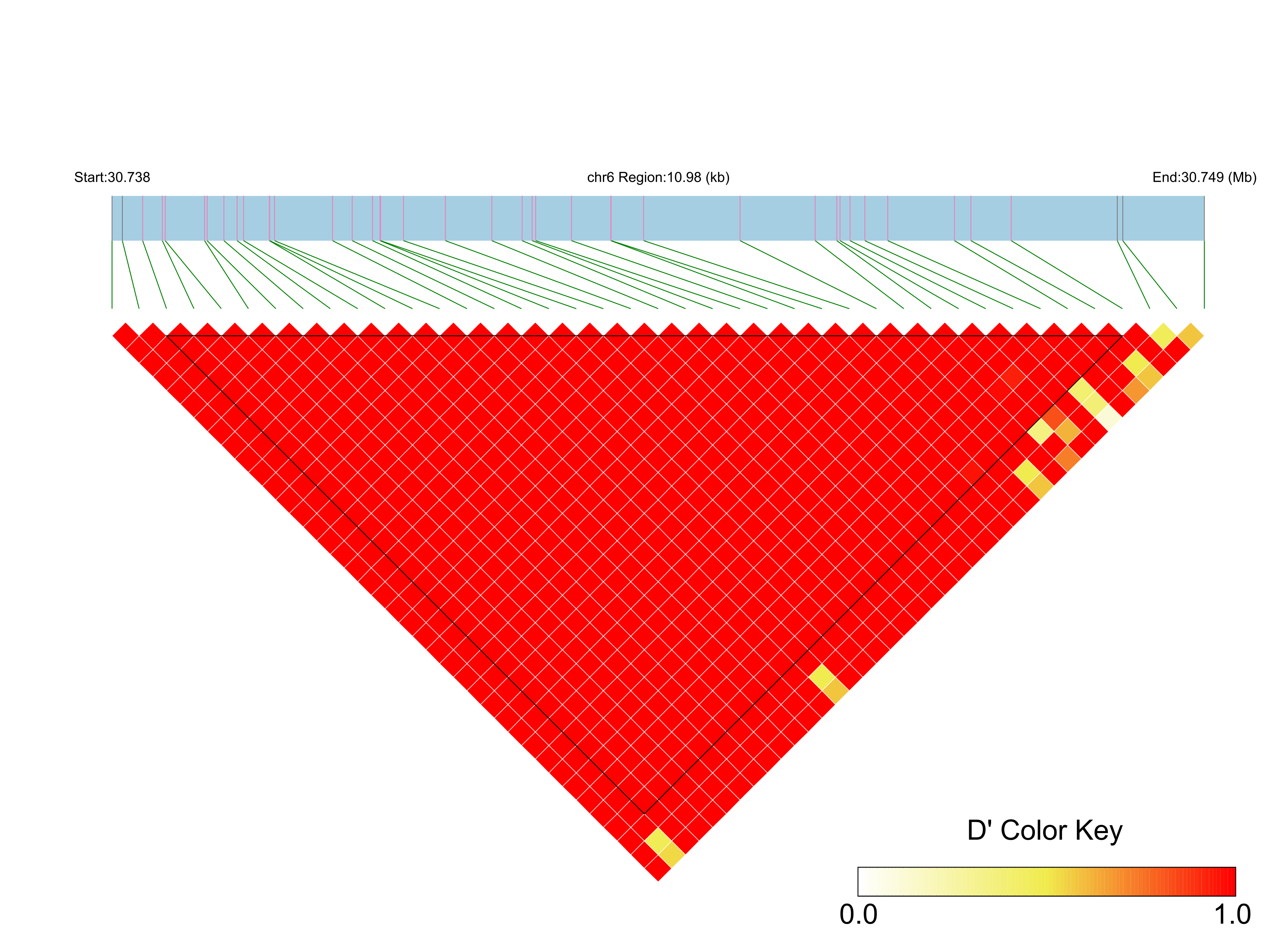 LD
