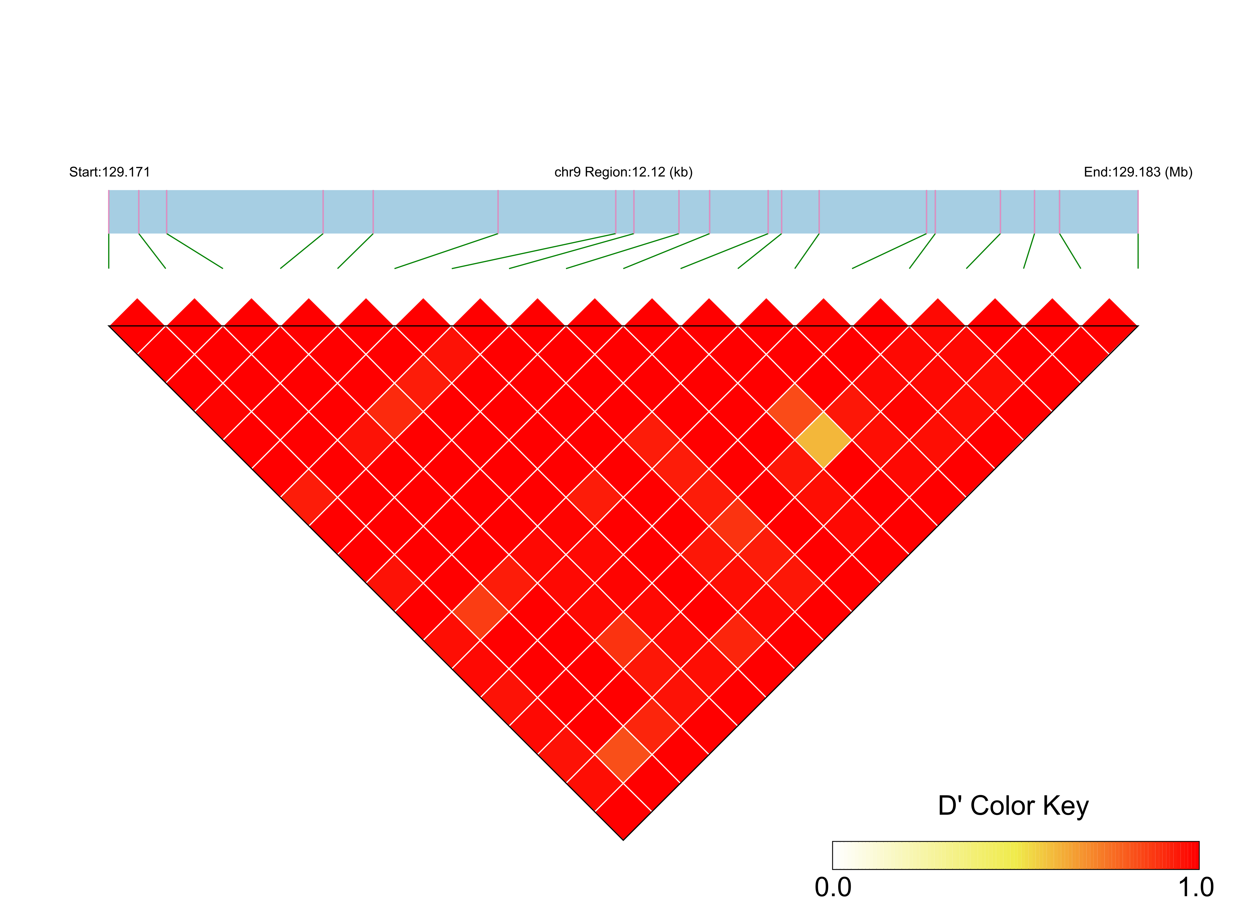 LD