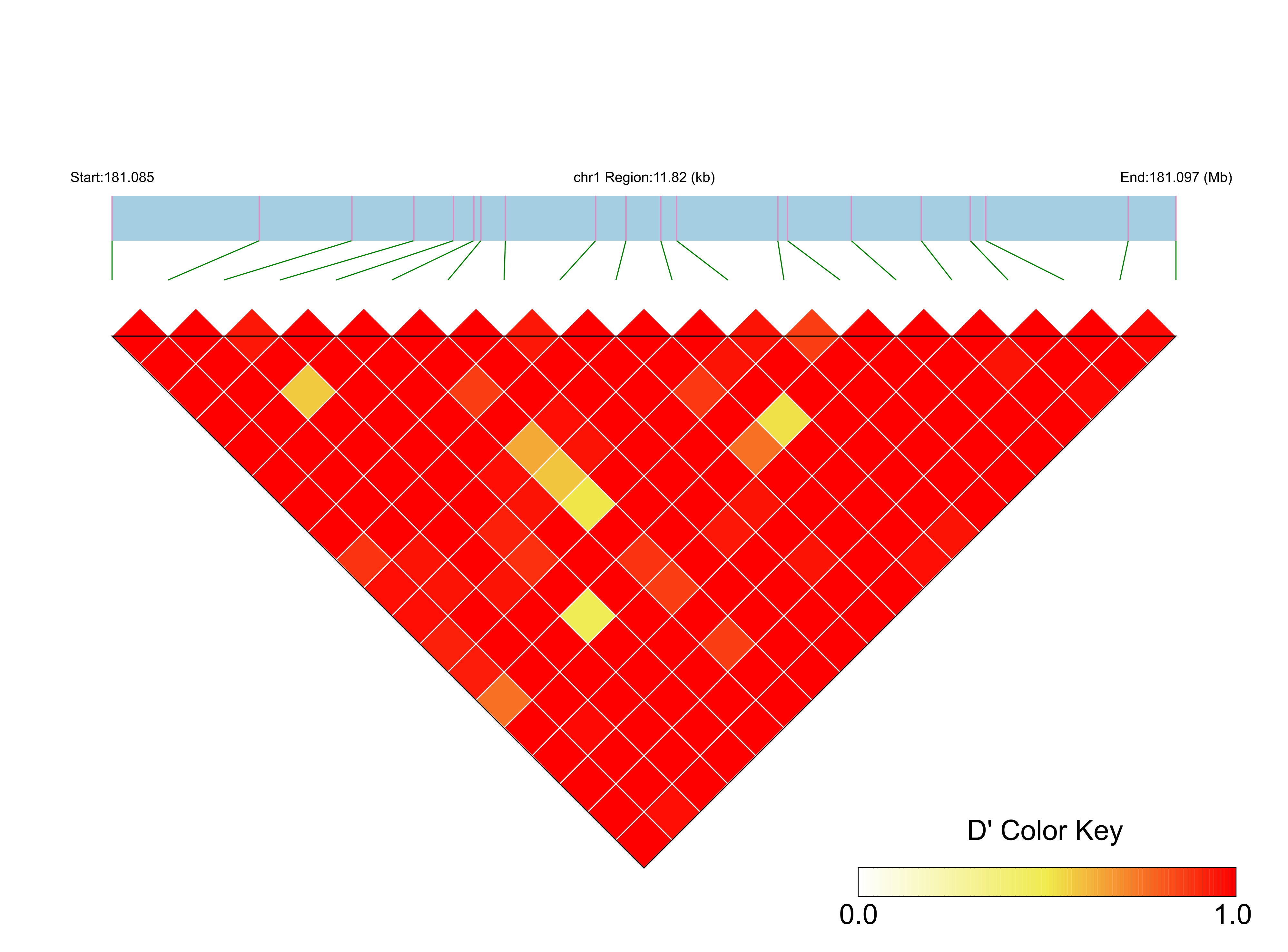 LD