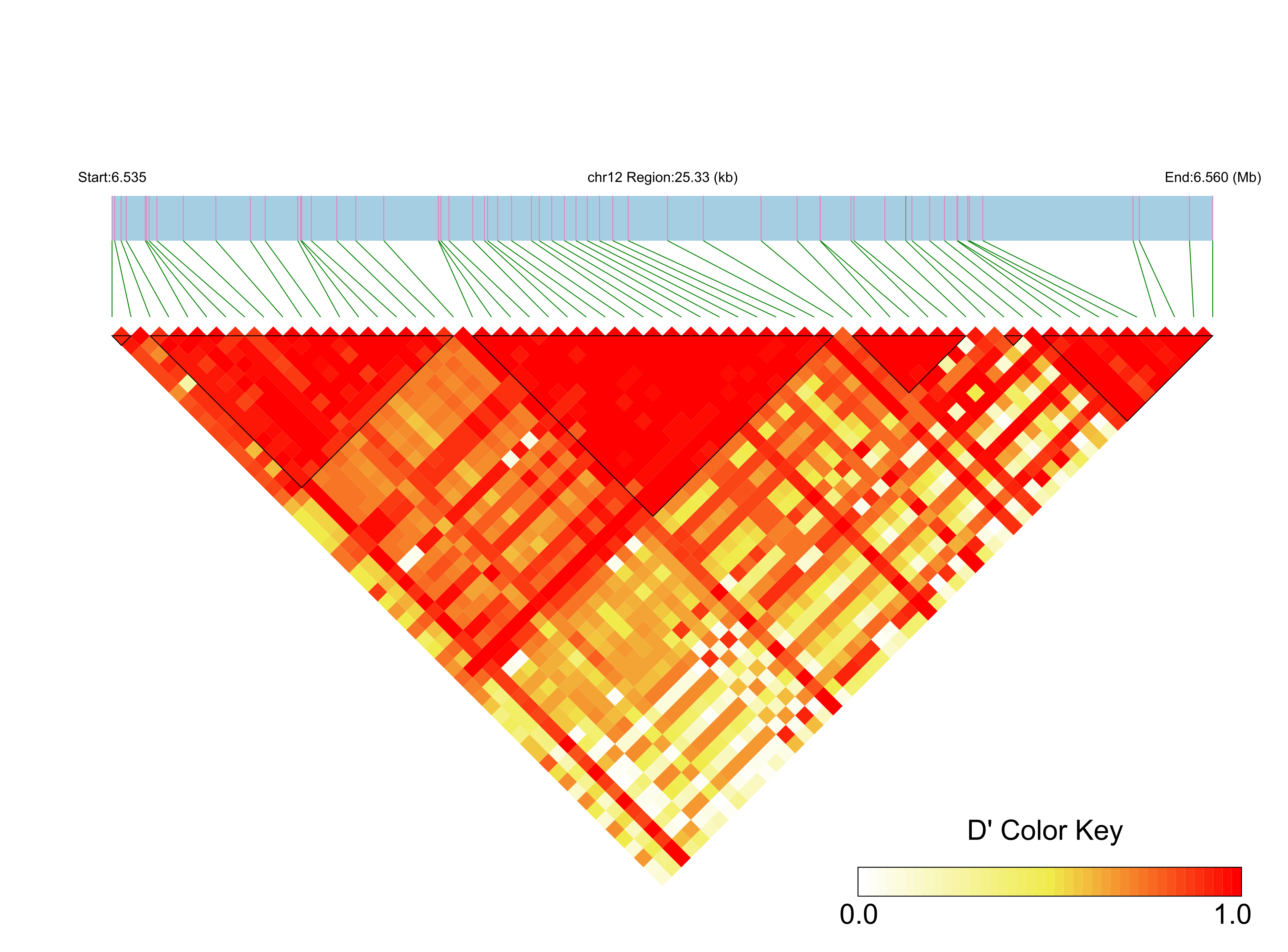 LD
