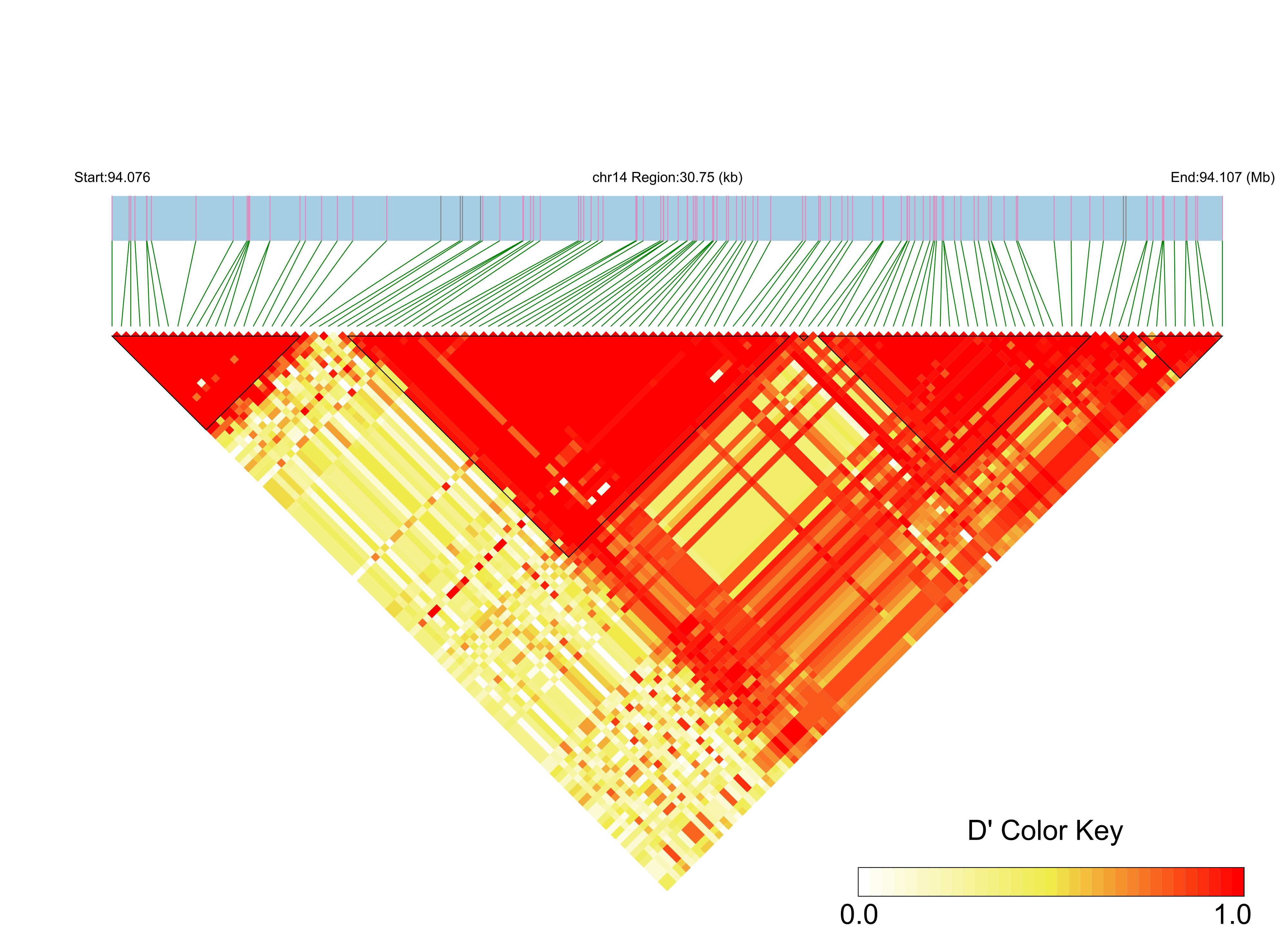 LD