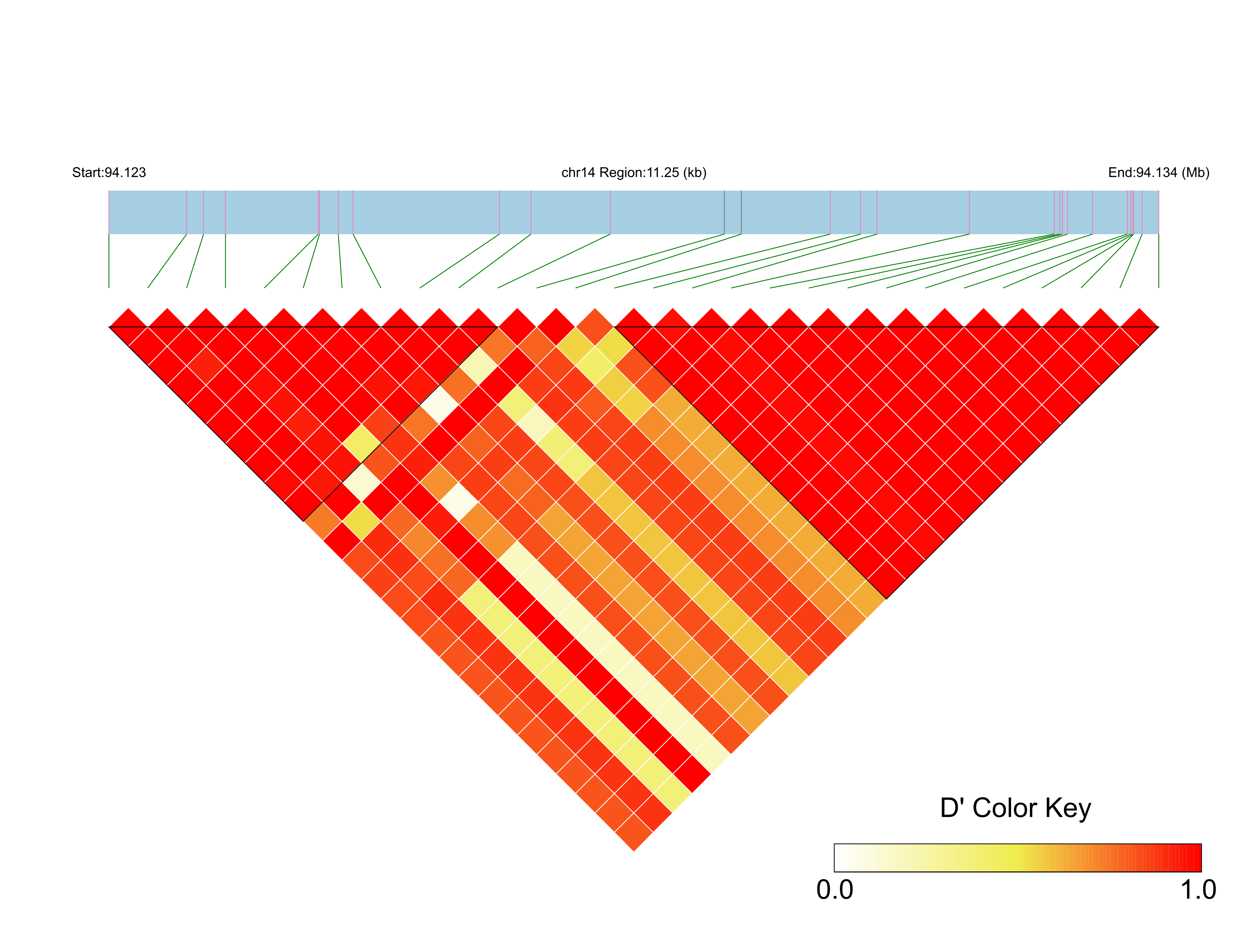 LD