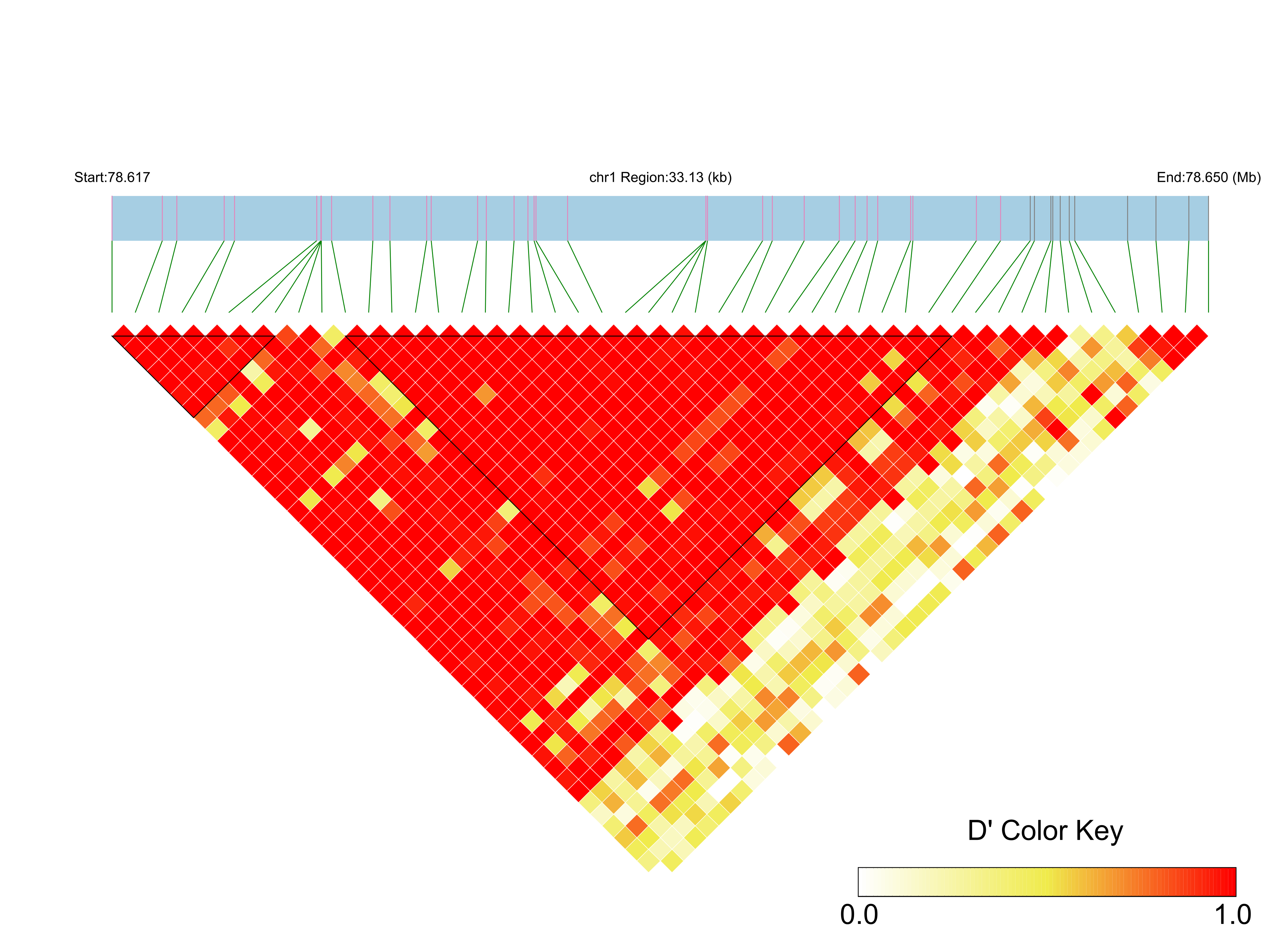 LD