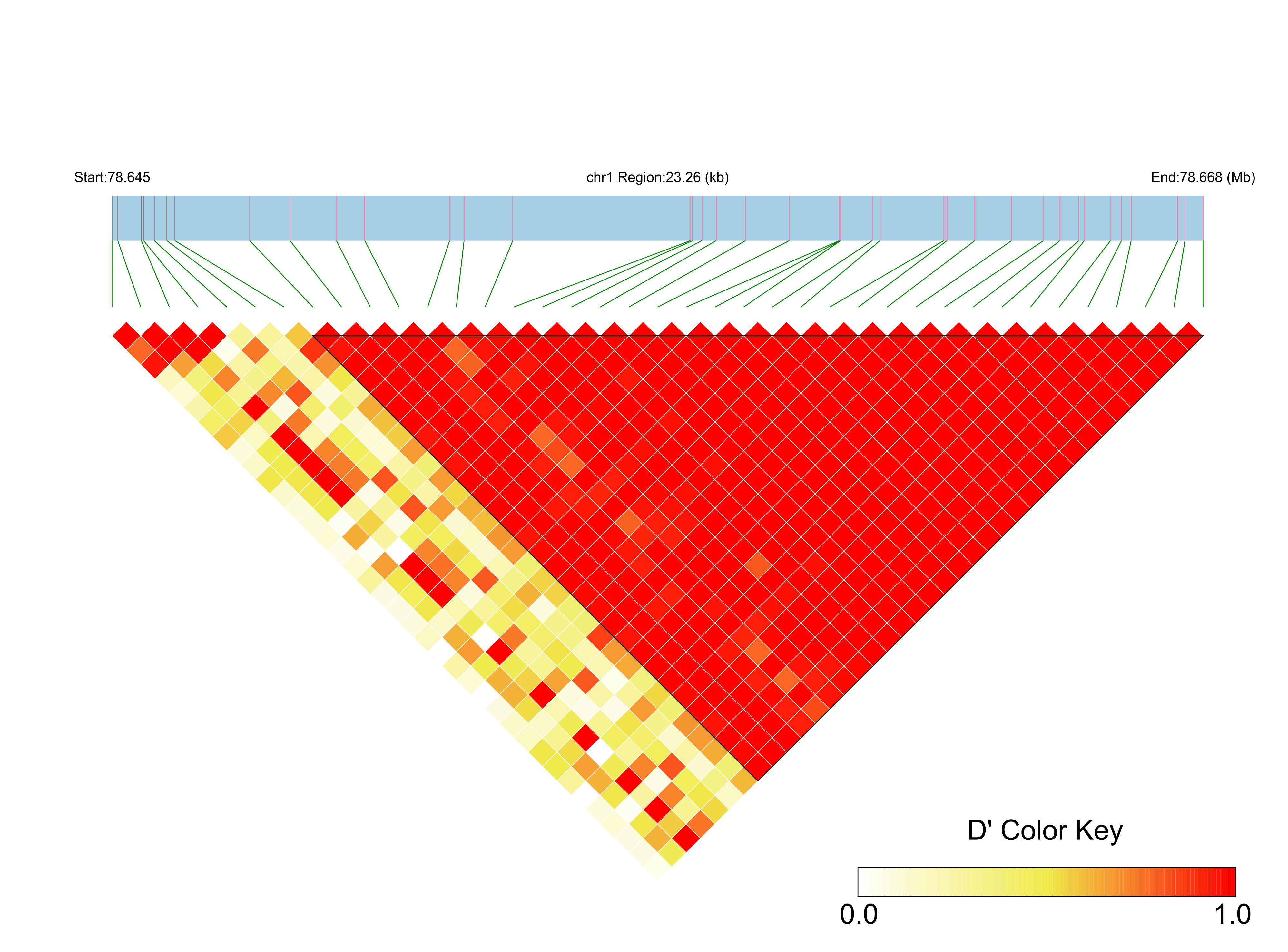 LD