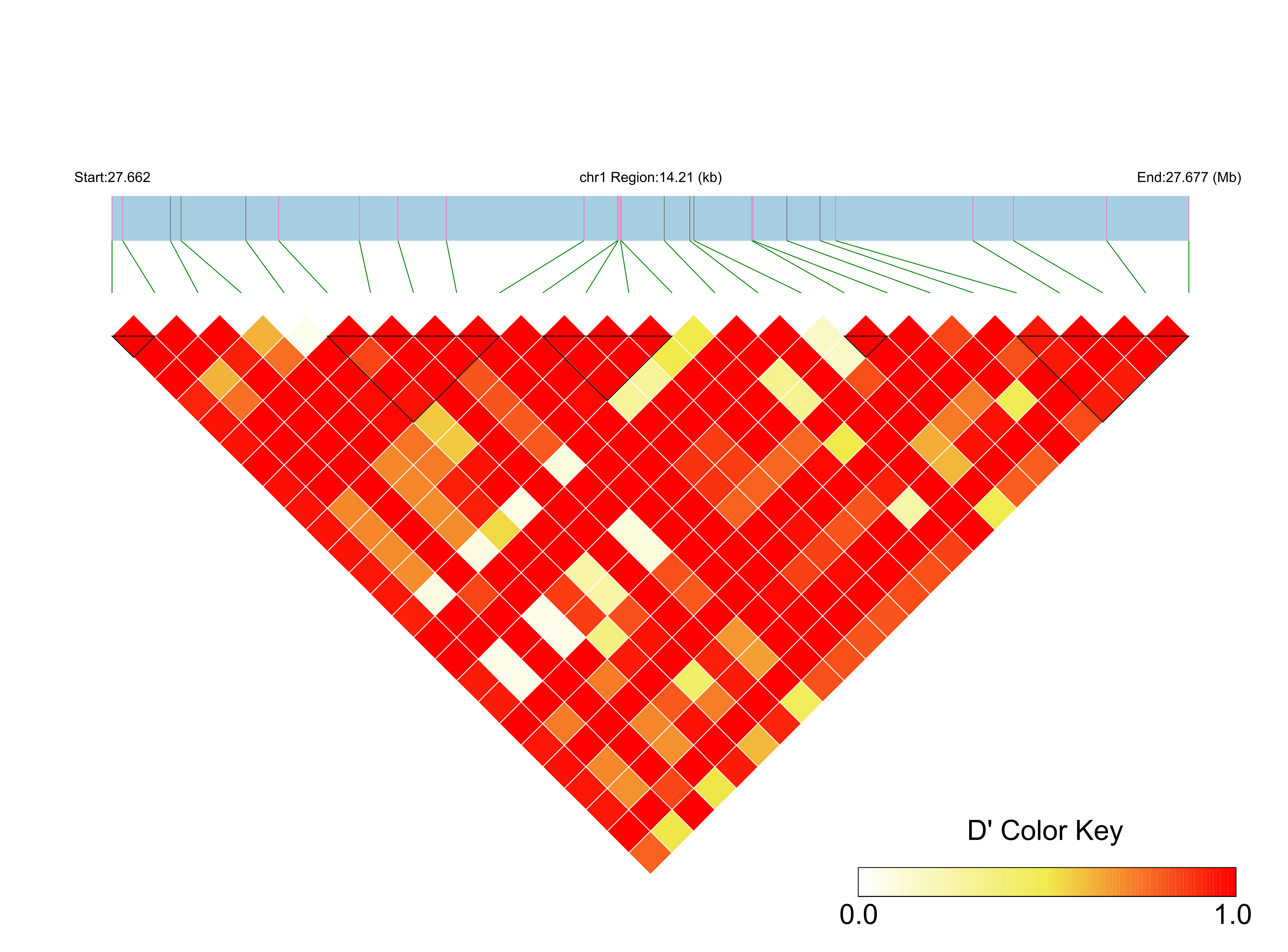 LD