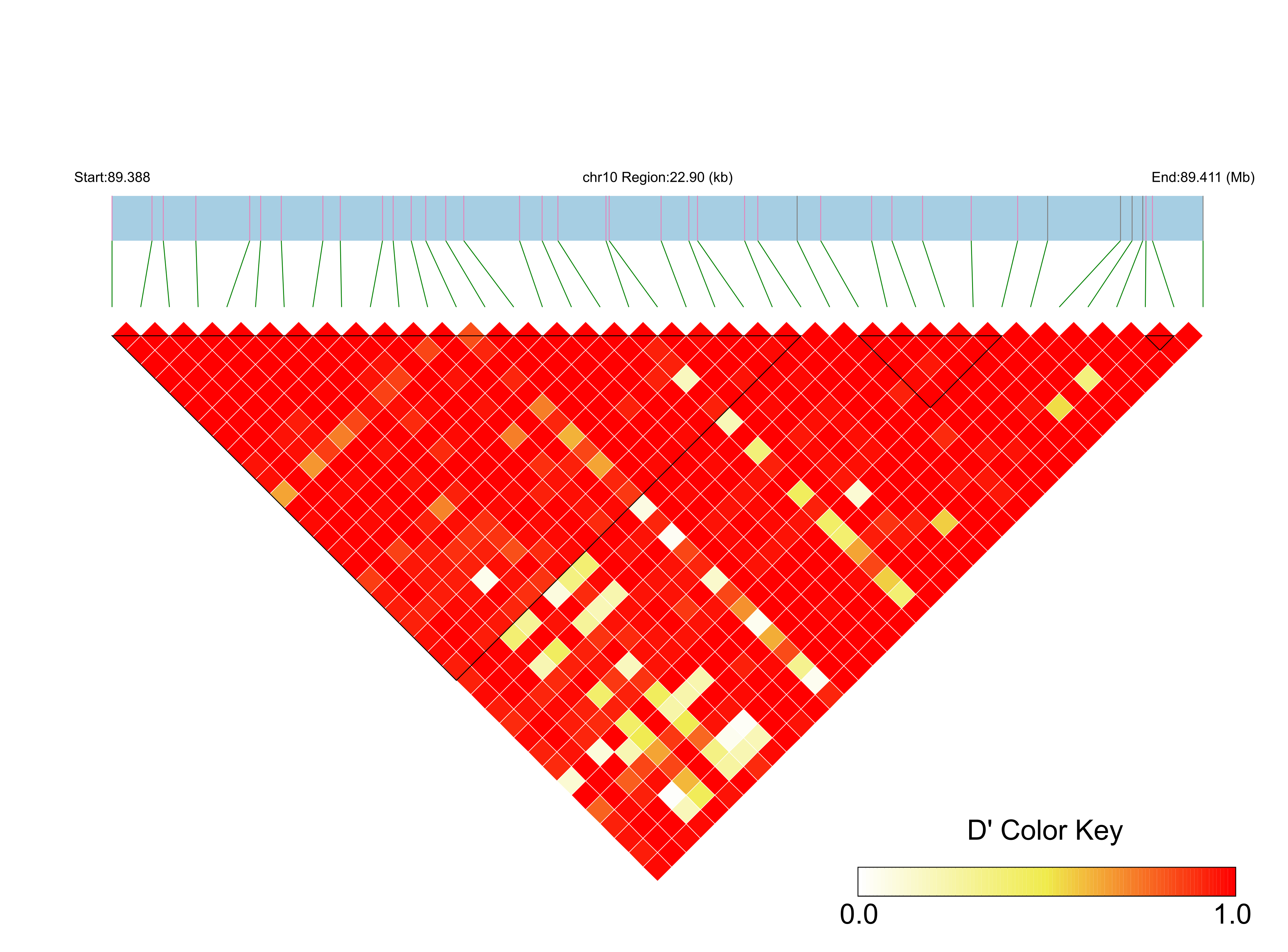 LD