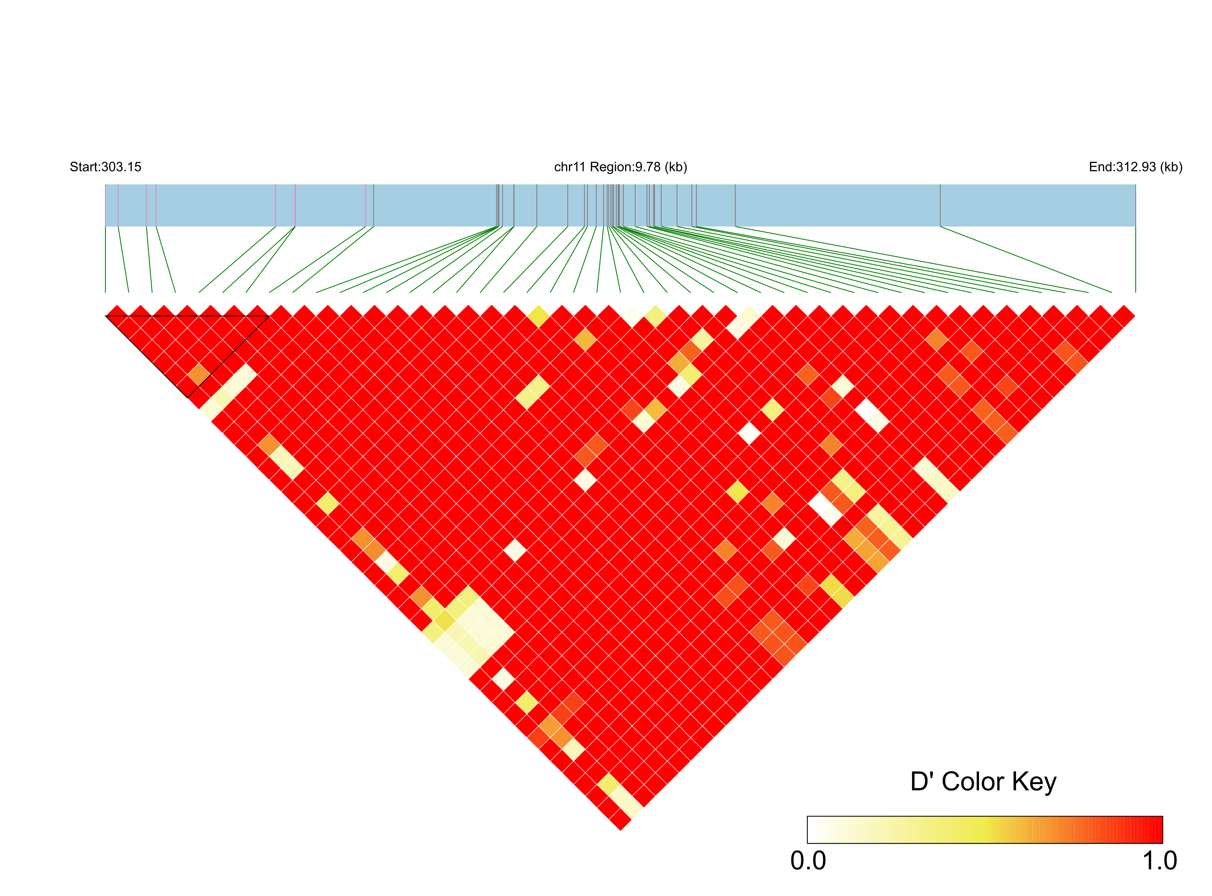 LD