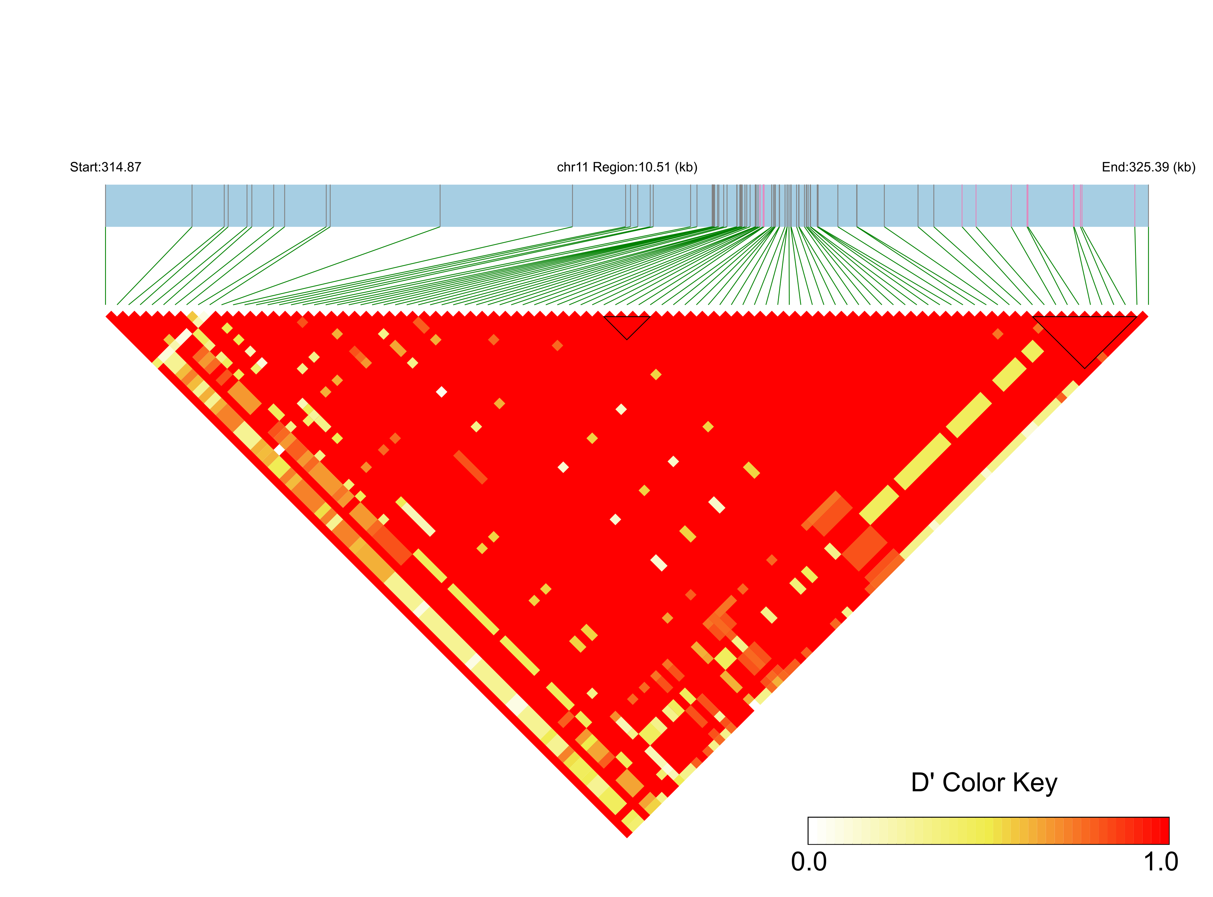 LD
