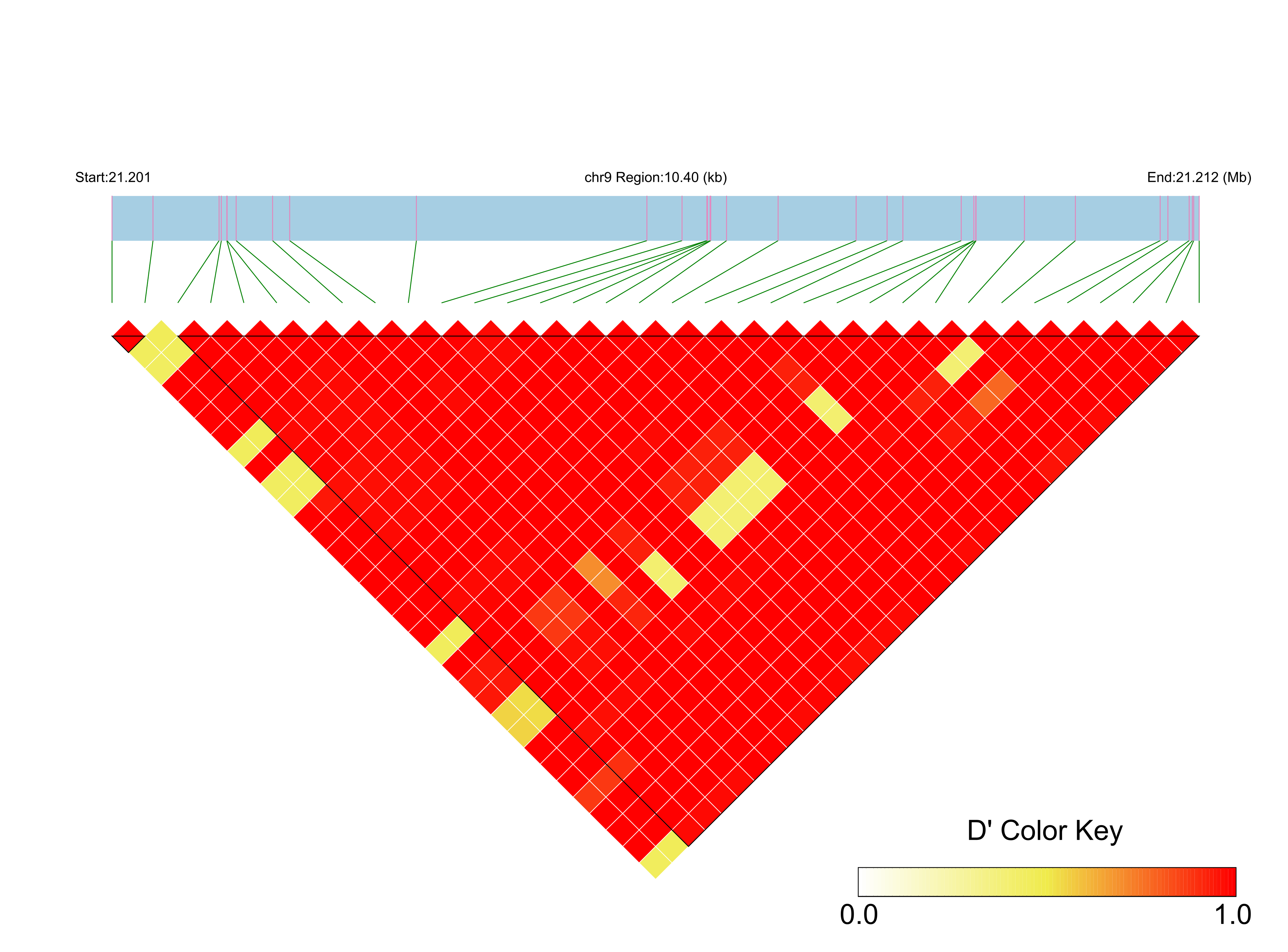 LD