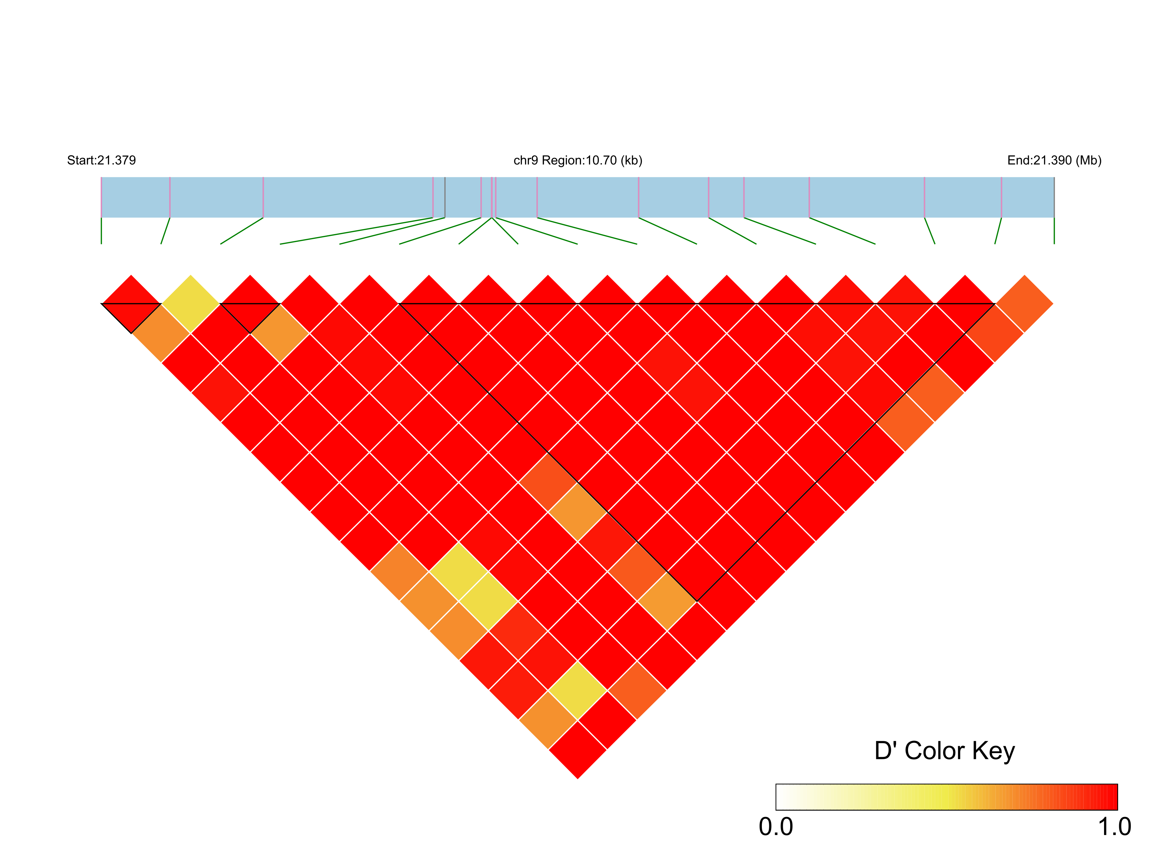 LD