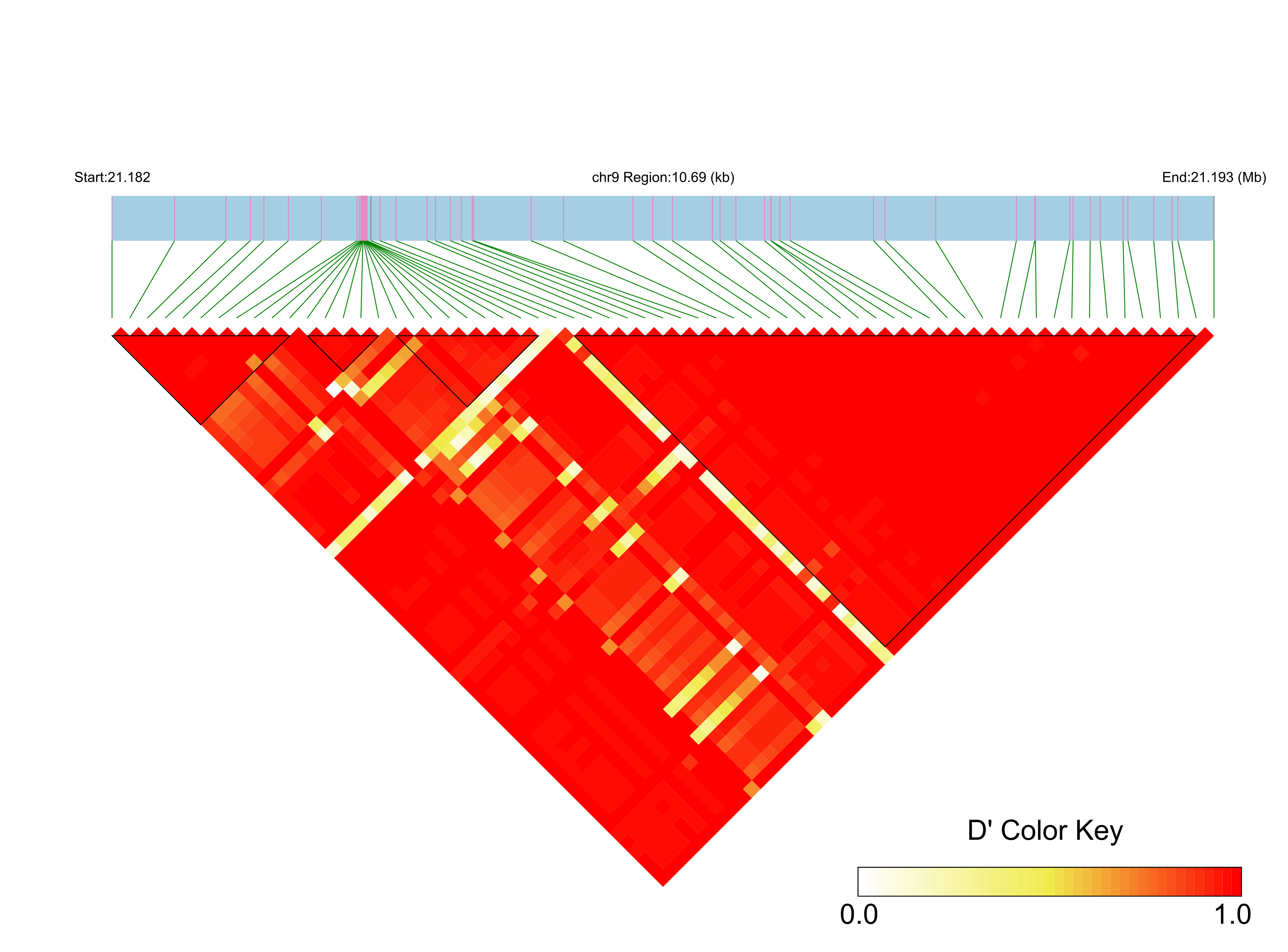 LD