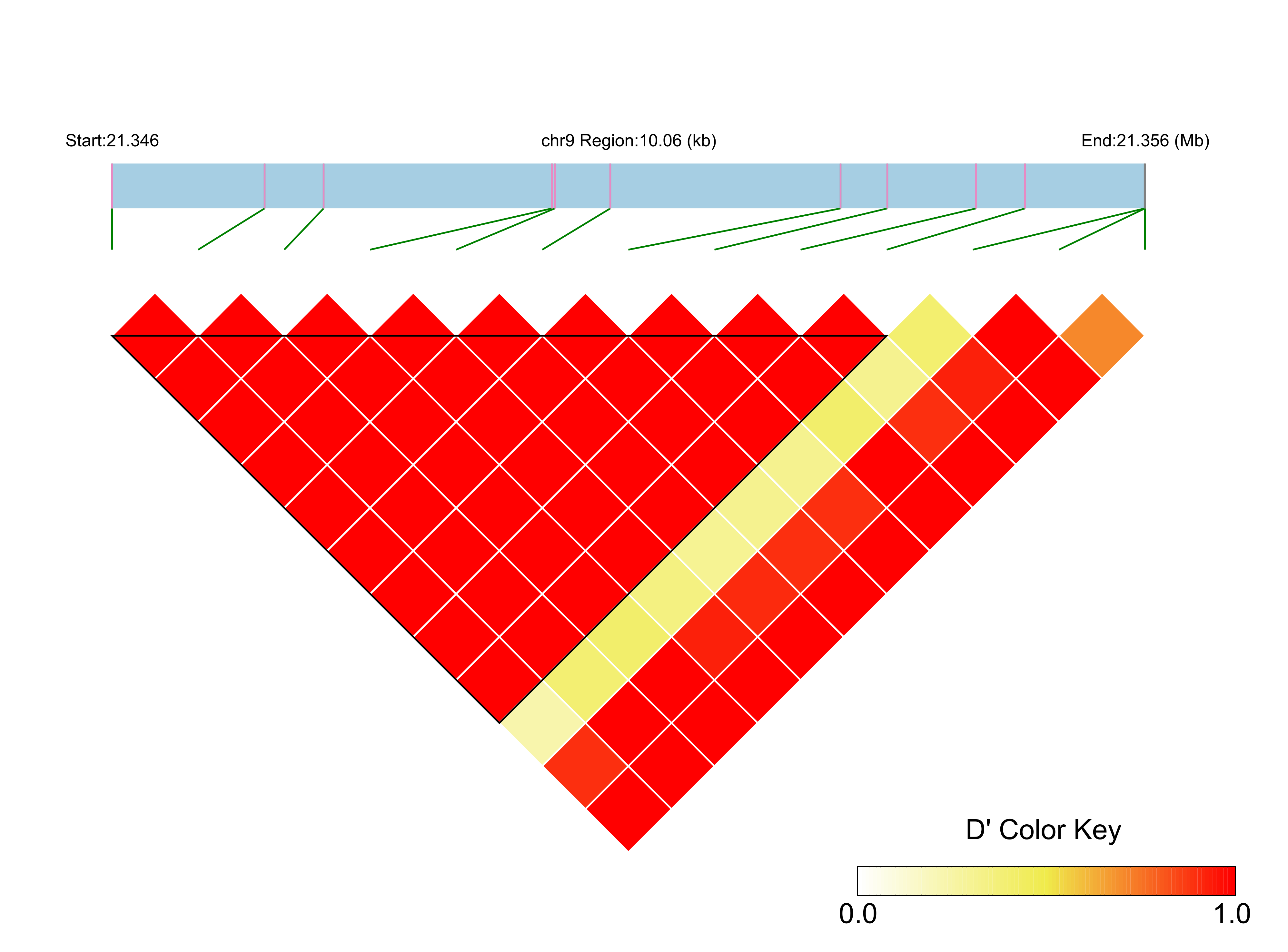 LD