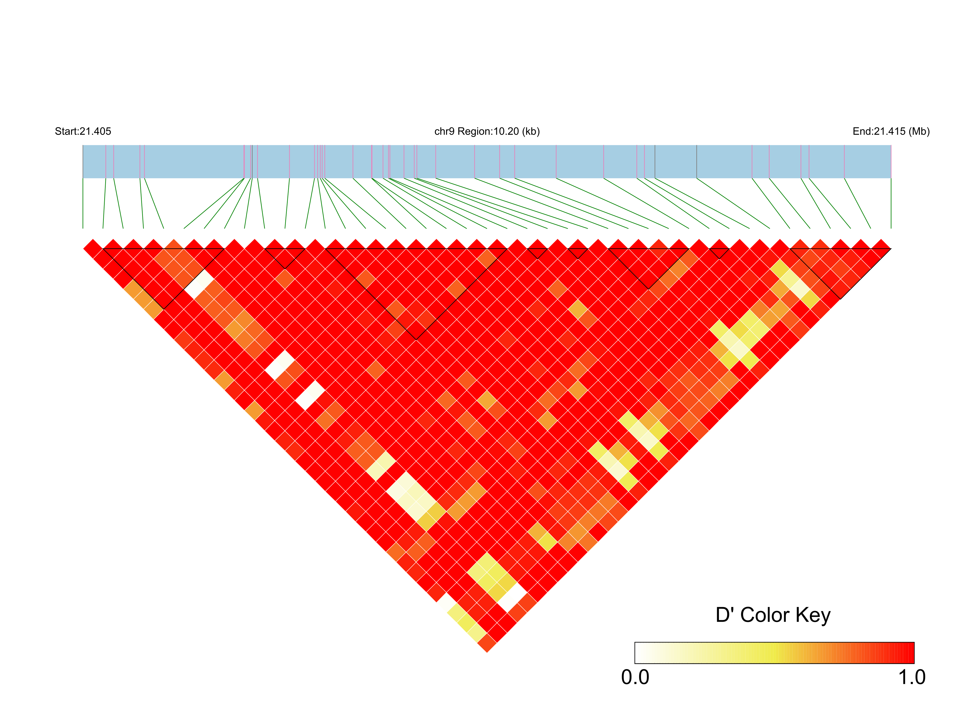 LD