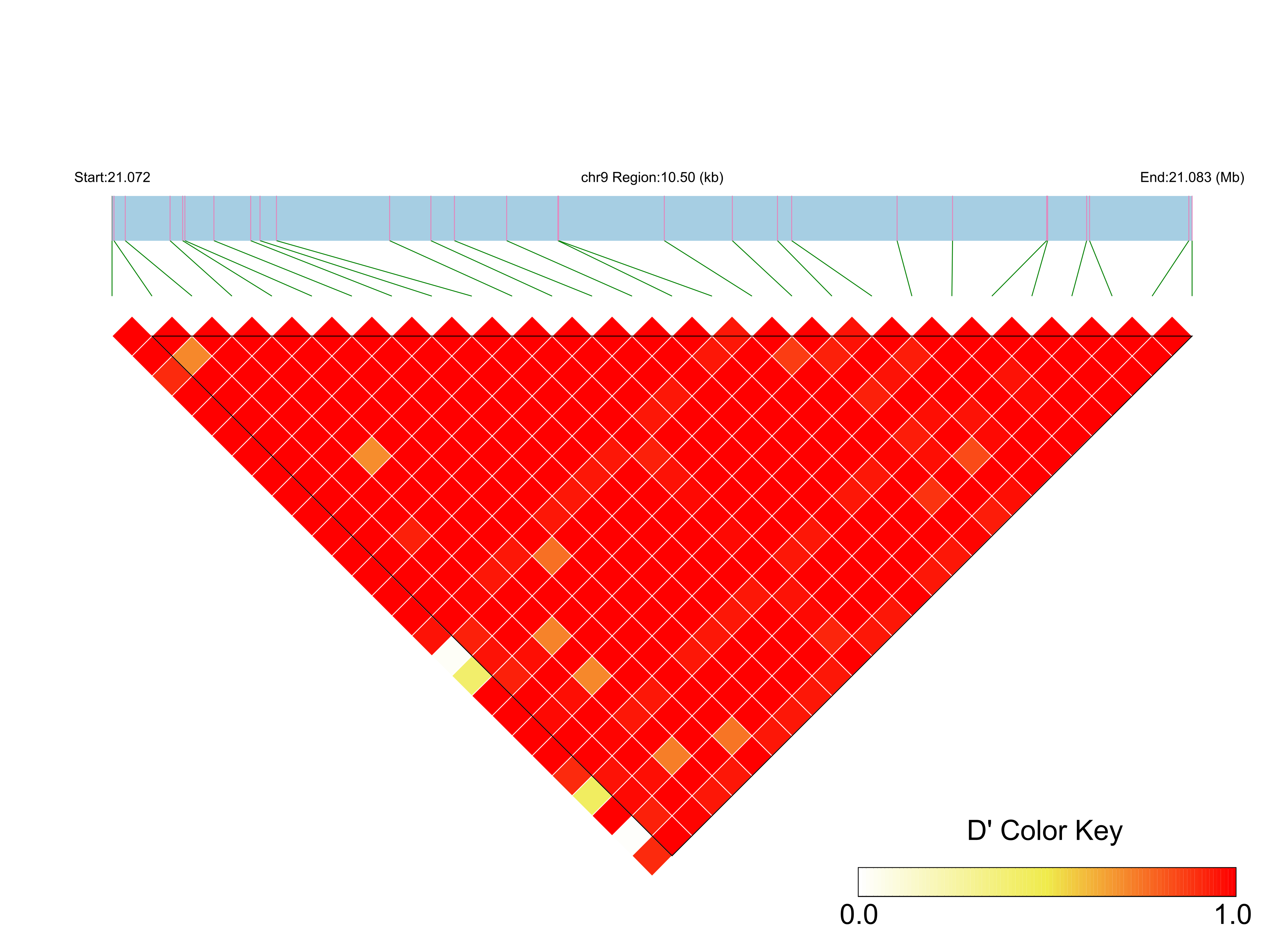 LD
