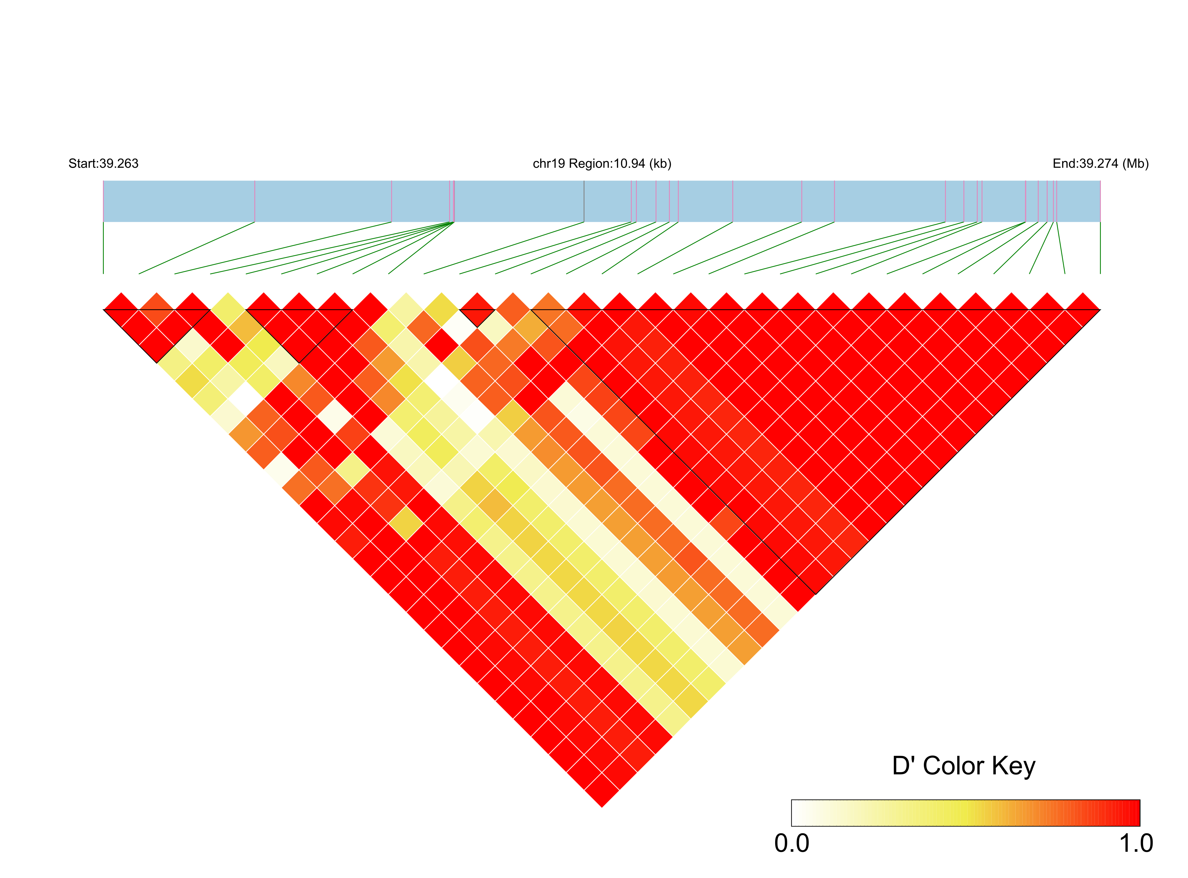 LD