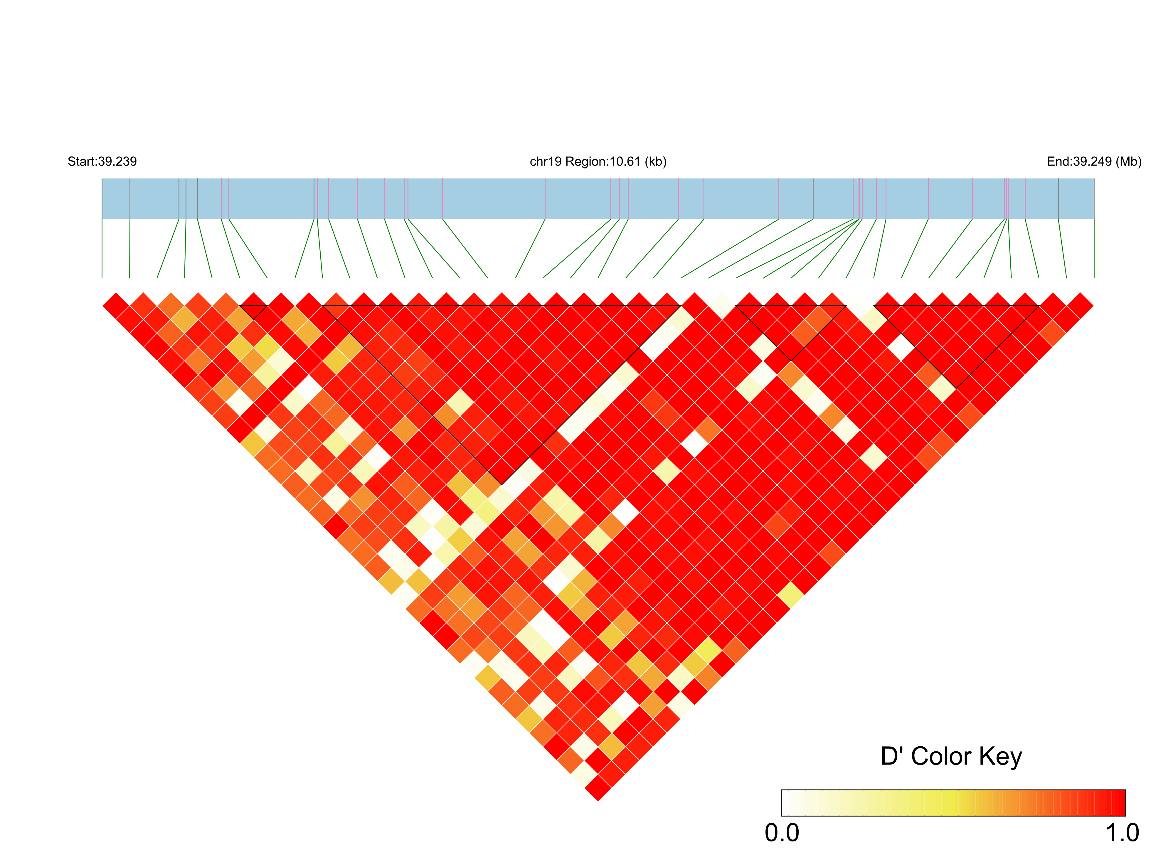 LD