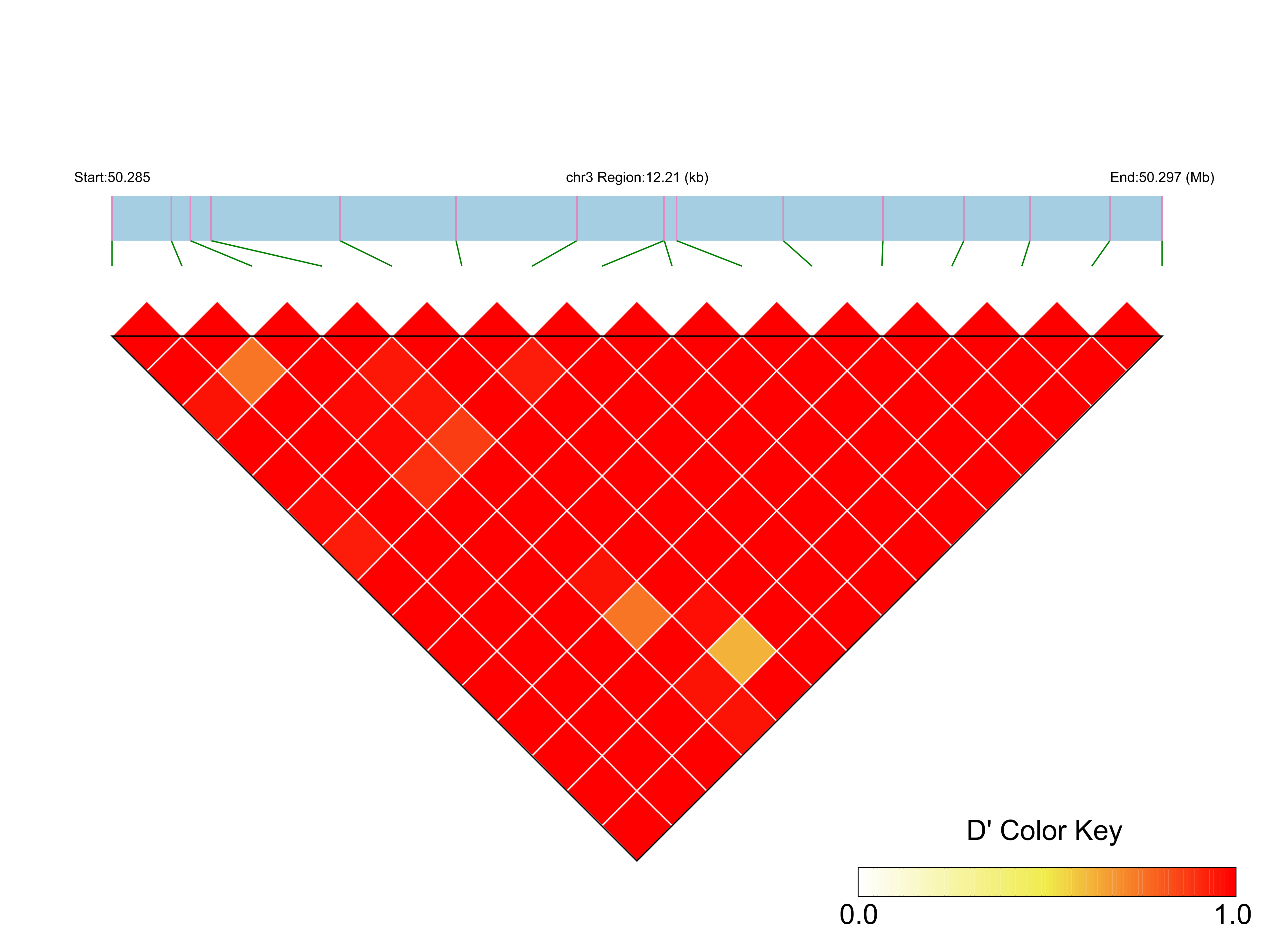 LD