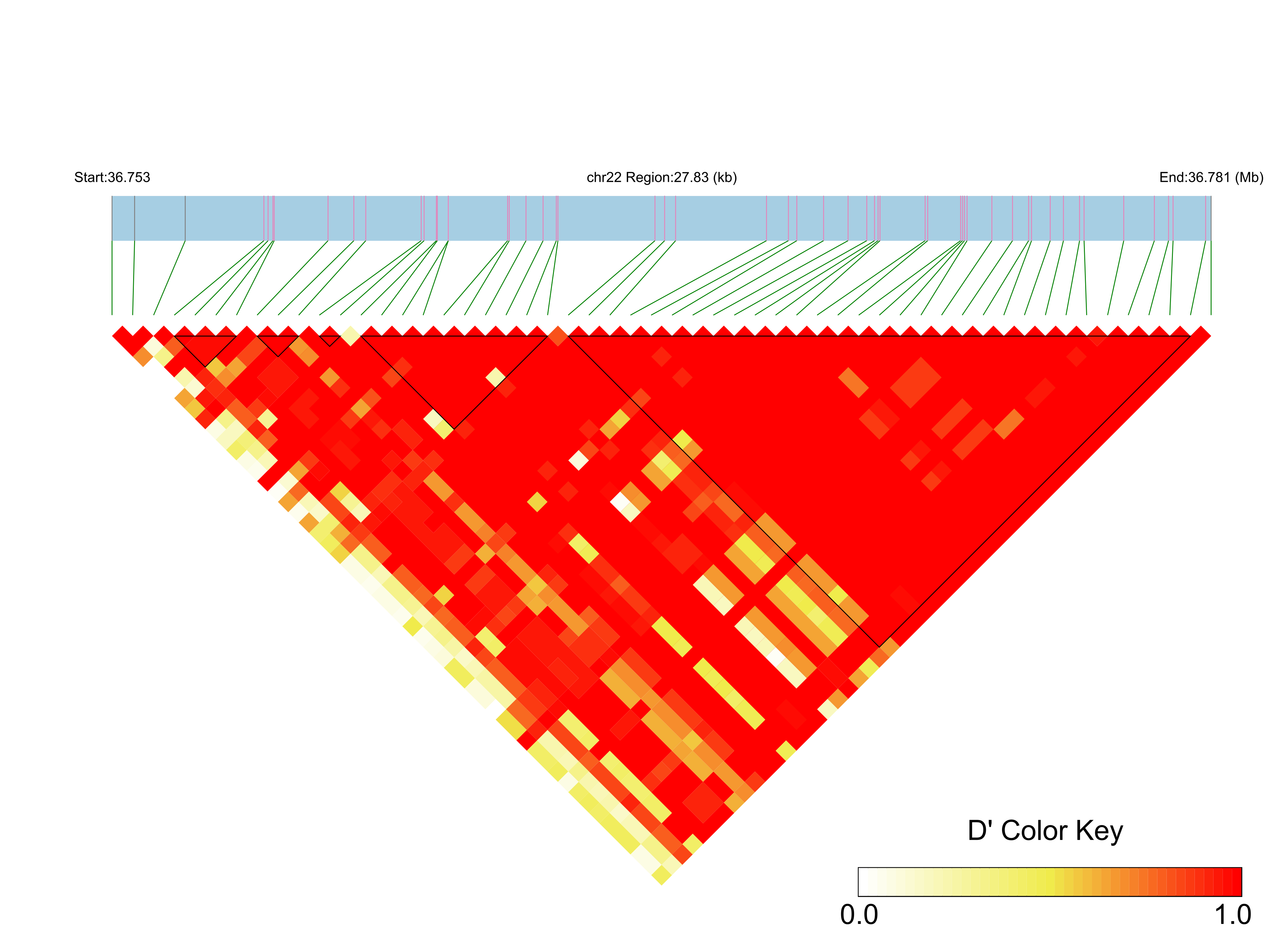 LD
