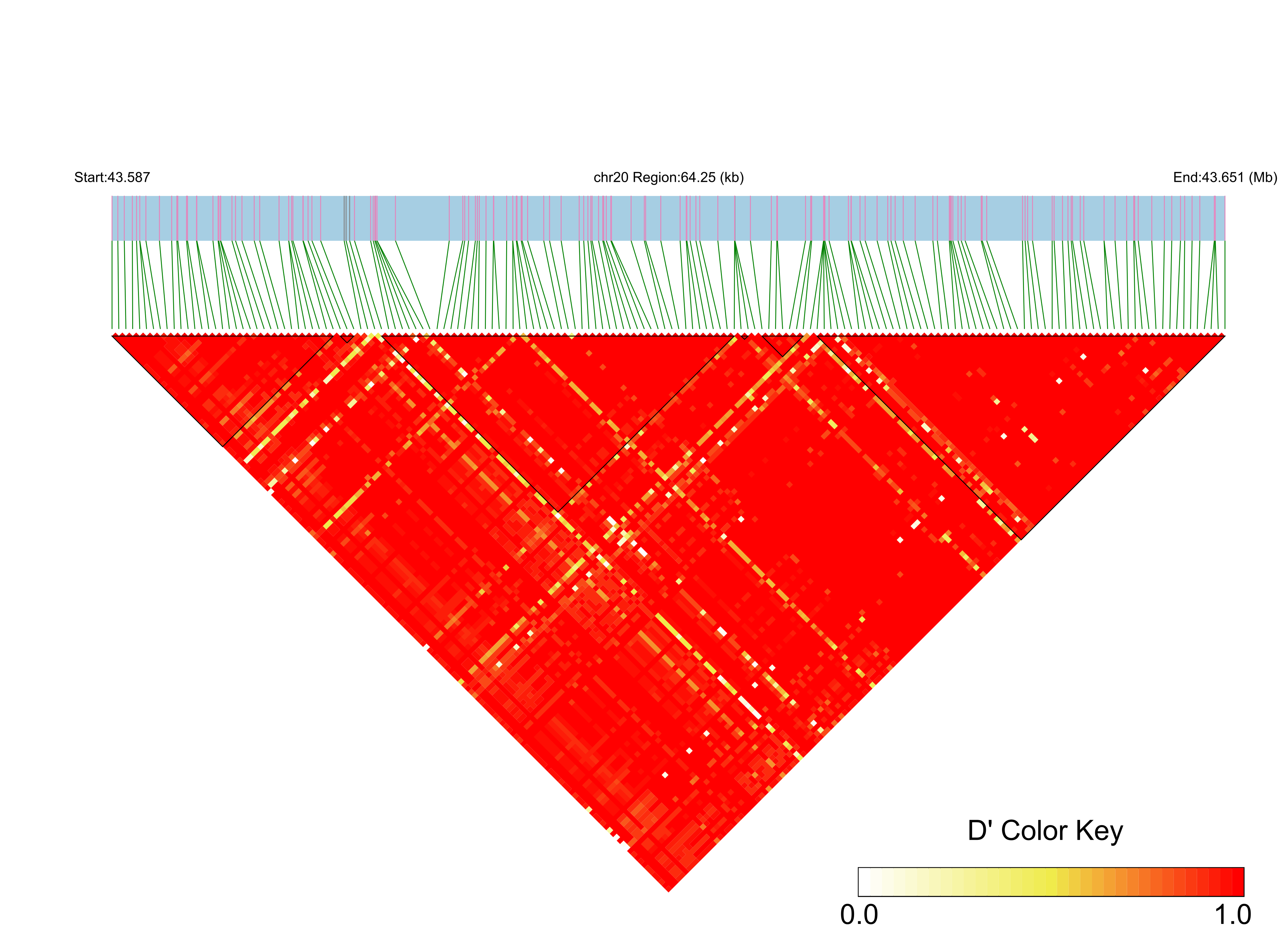 LD