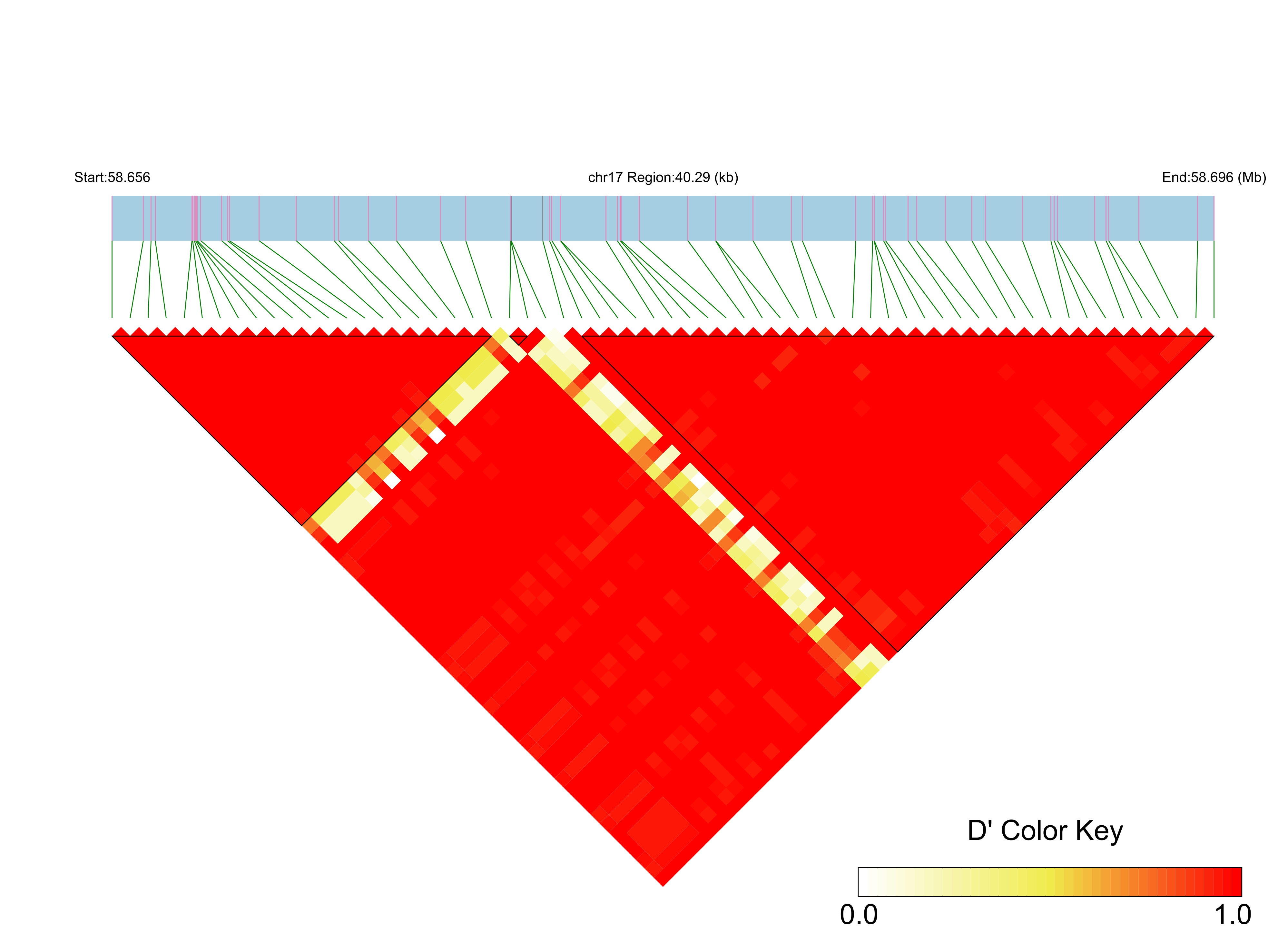 LD